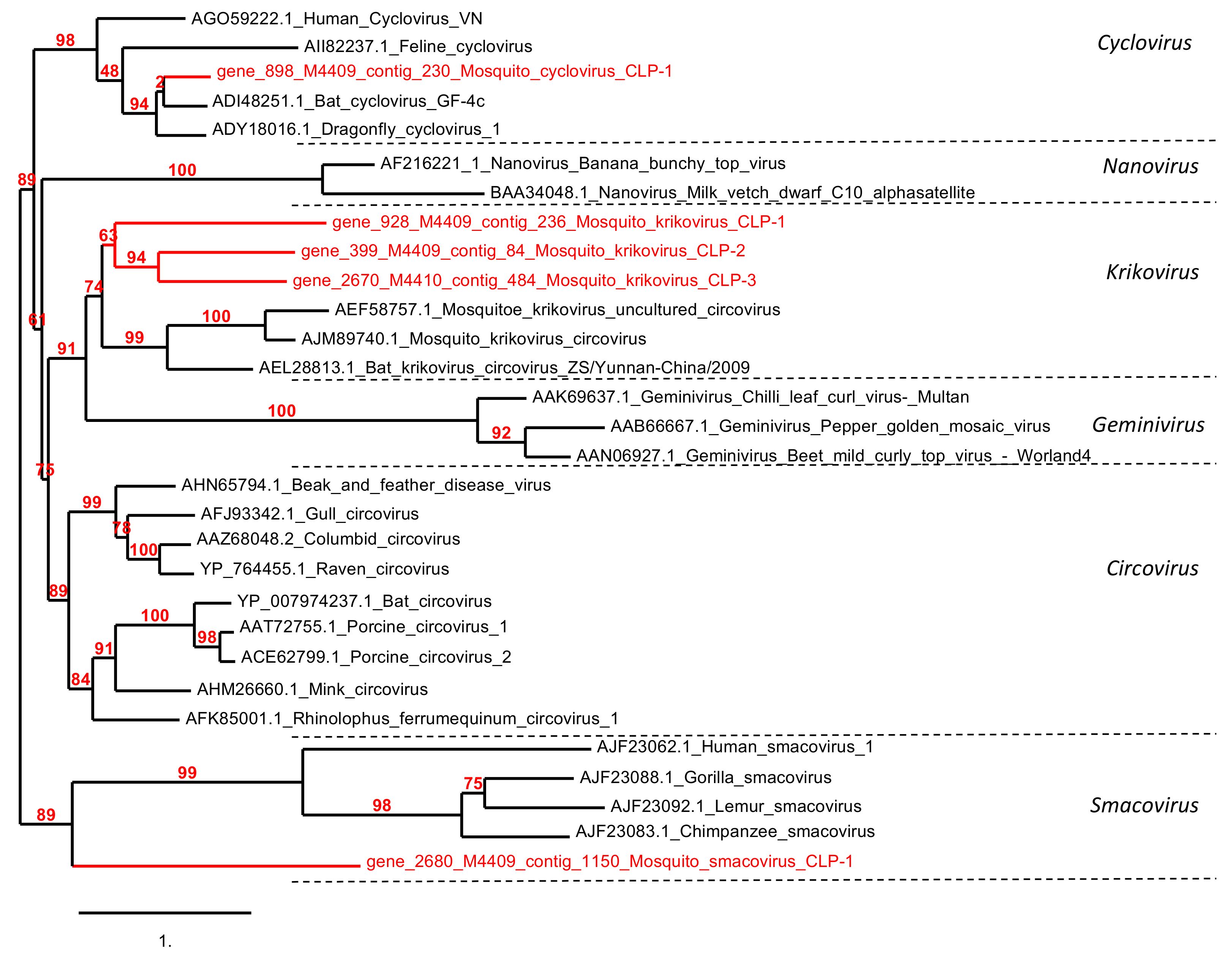 Viruses 13 00768 g005