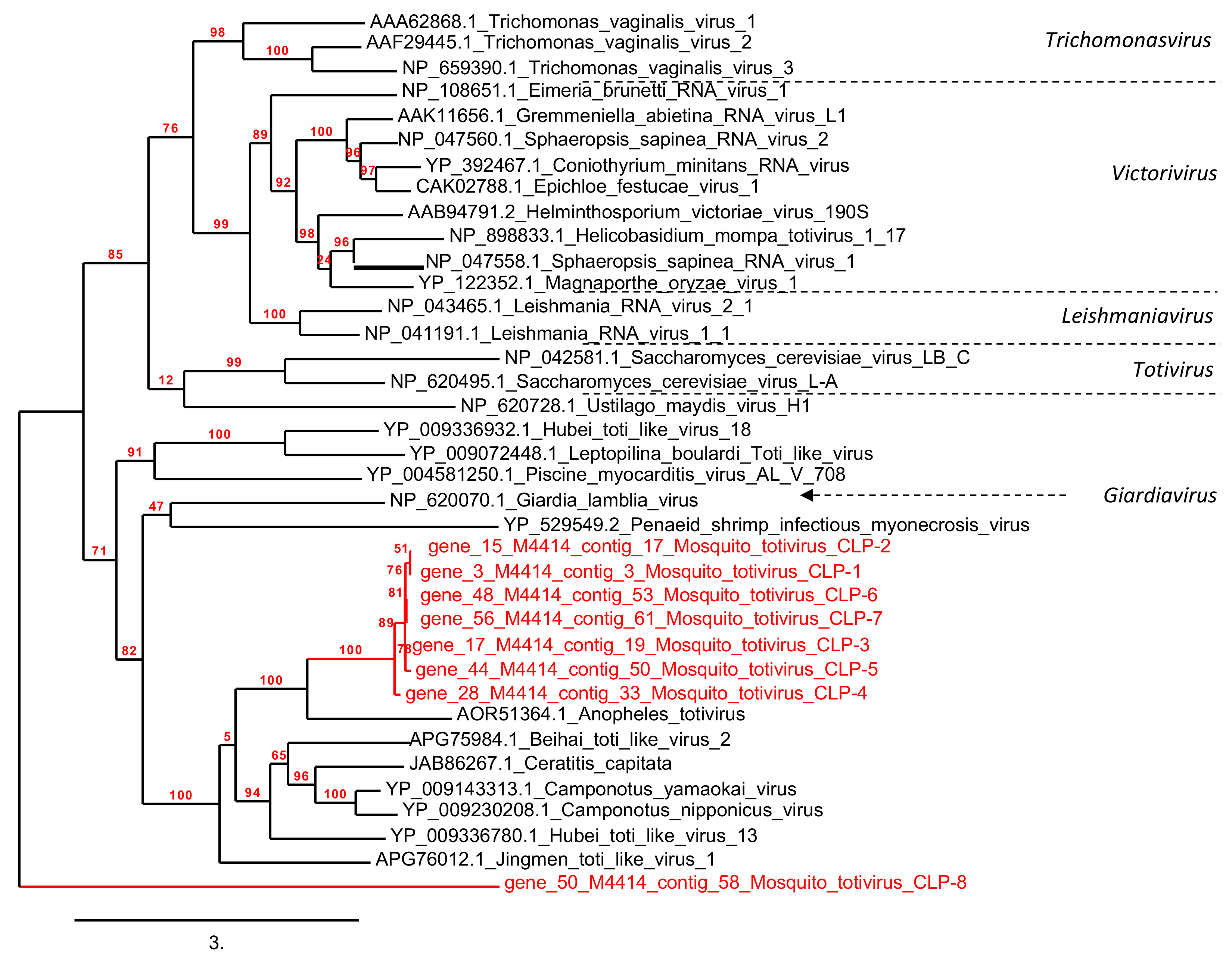 Viruses 13 00768 g006