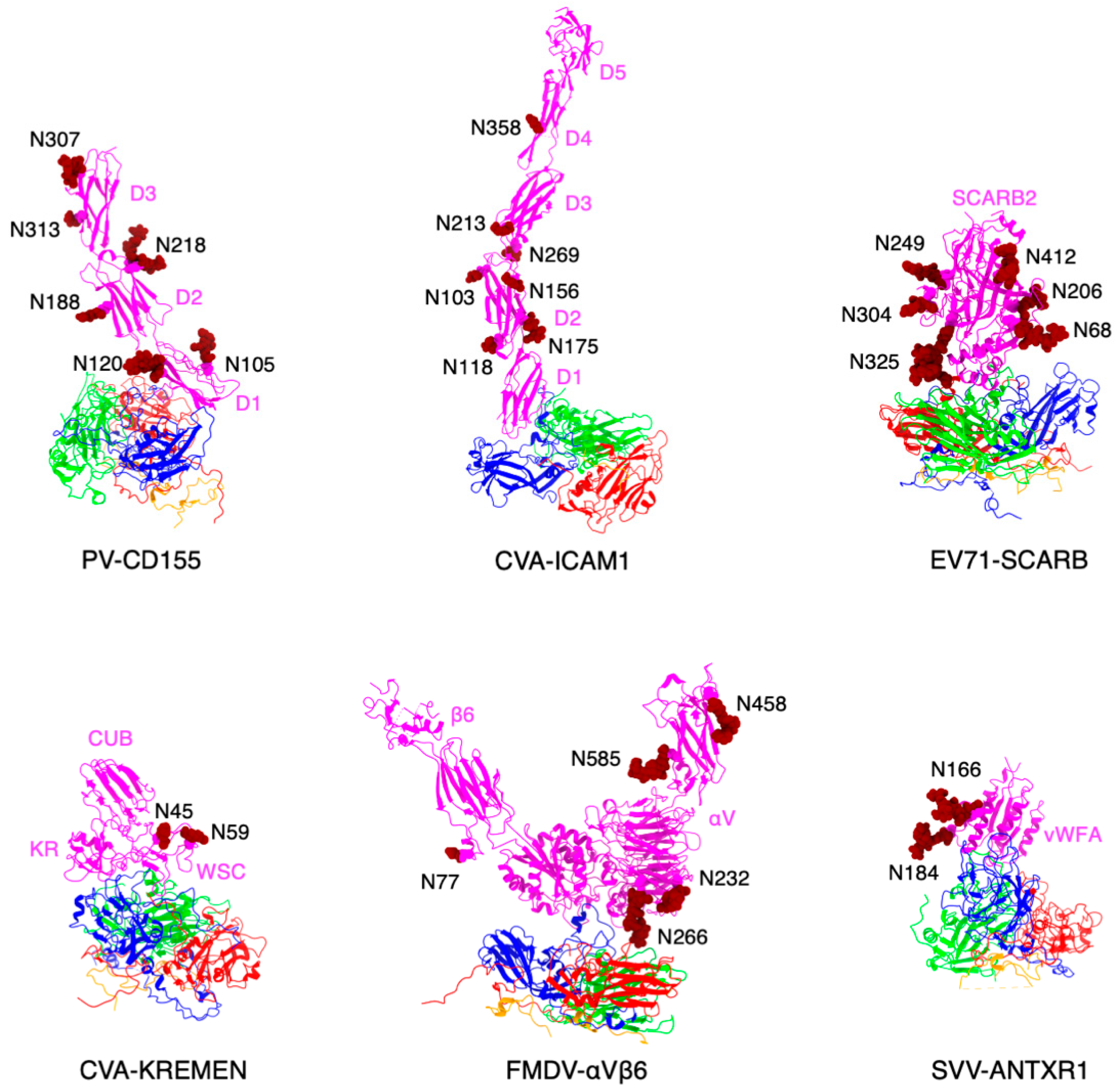 Viruses 13 00769 g003