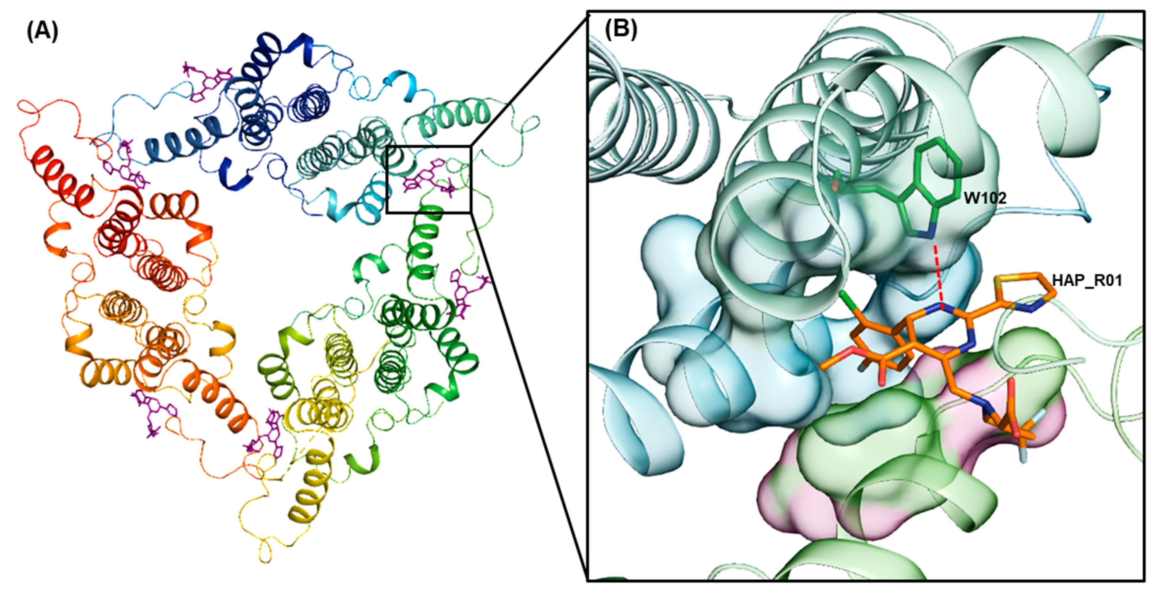 Viruses 13 00770 g002
