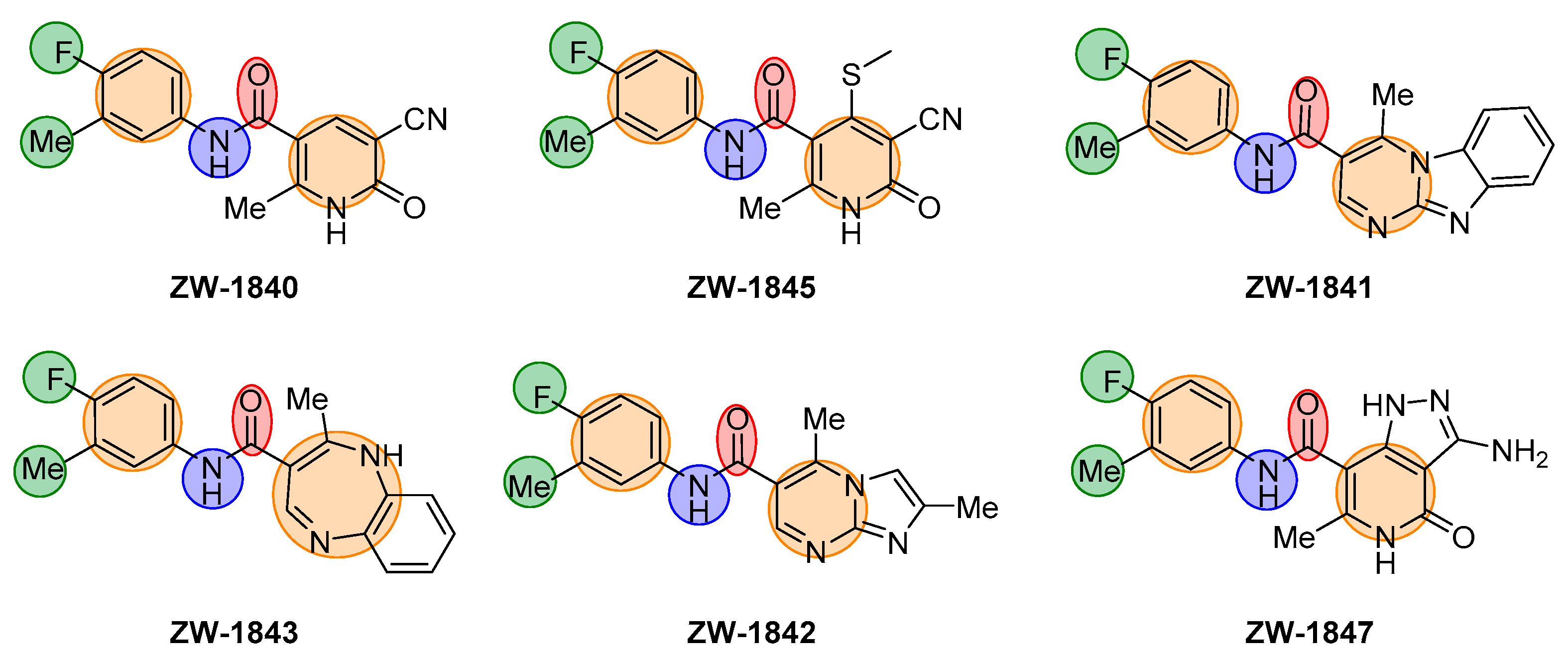 Viruses 13 00770 g005