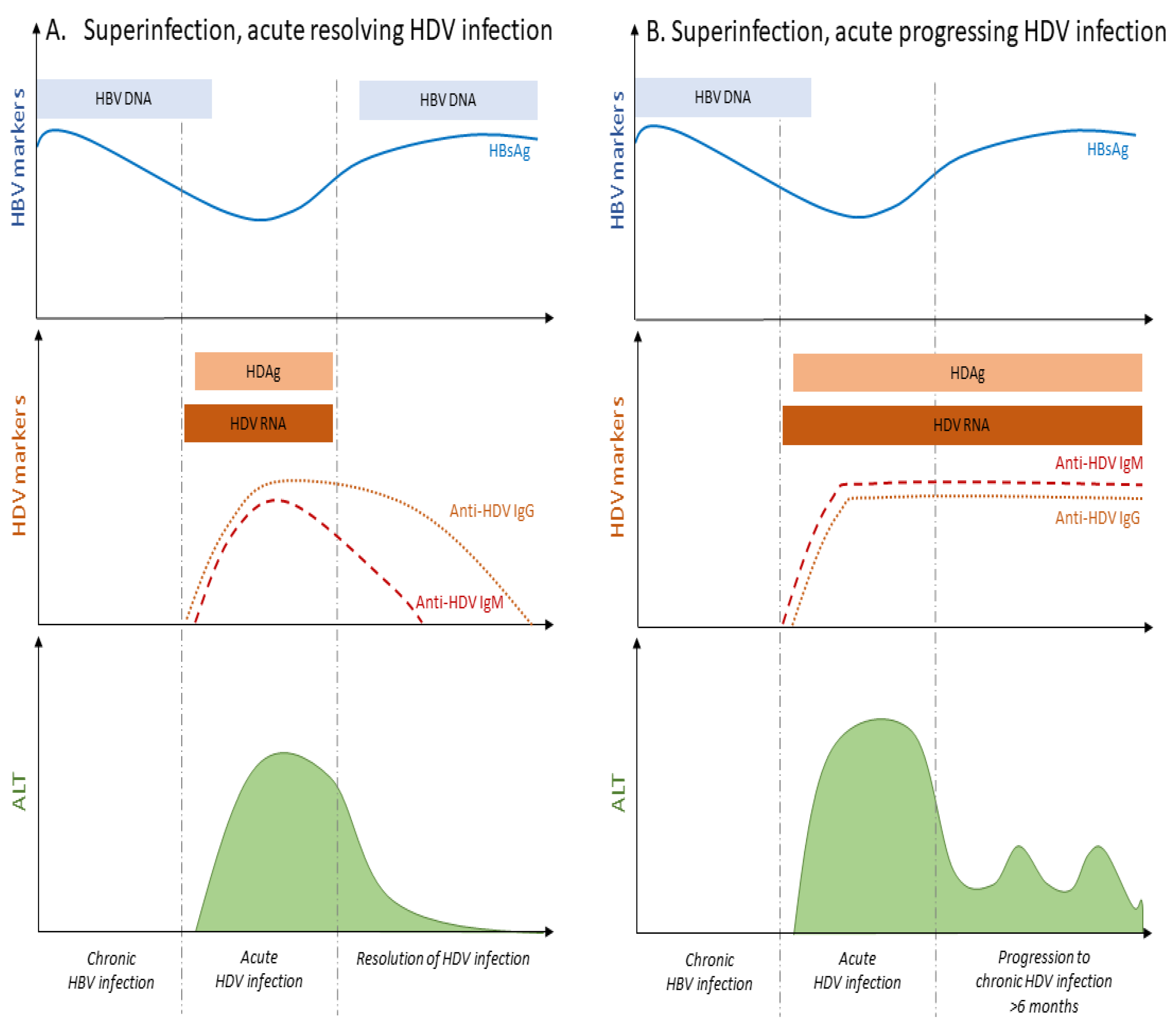 Viruses 13 00778 g003