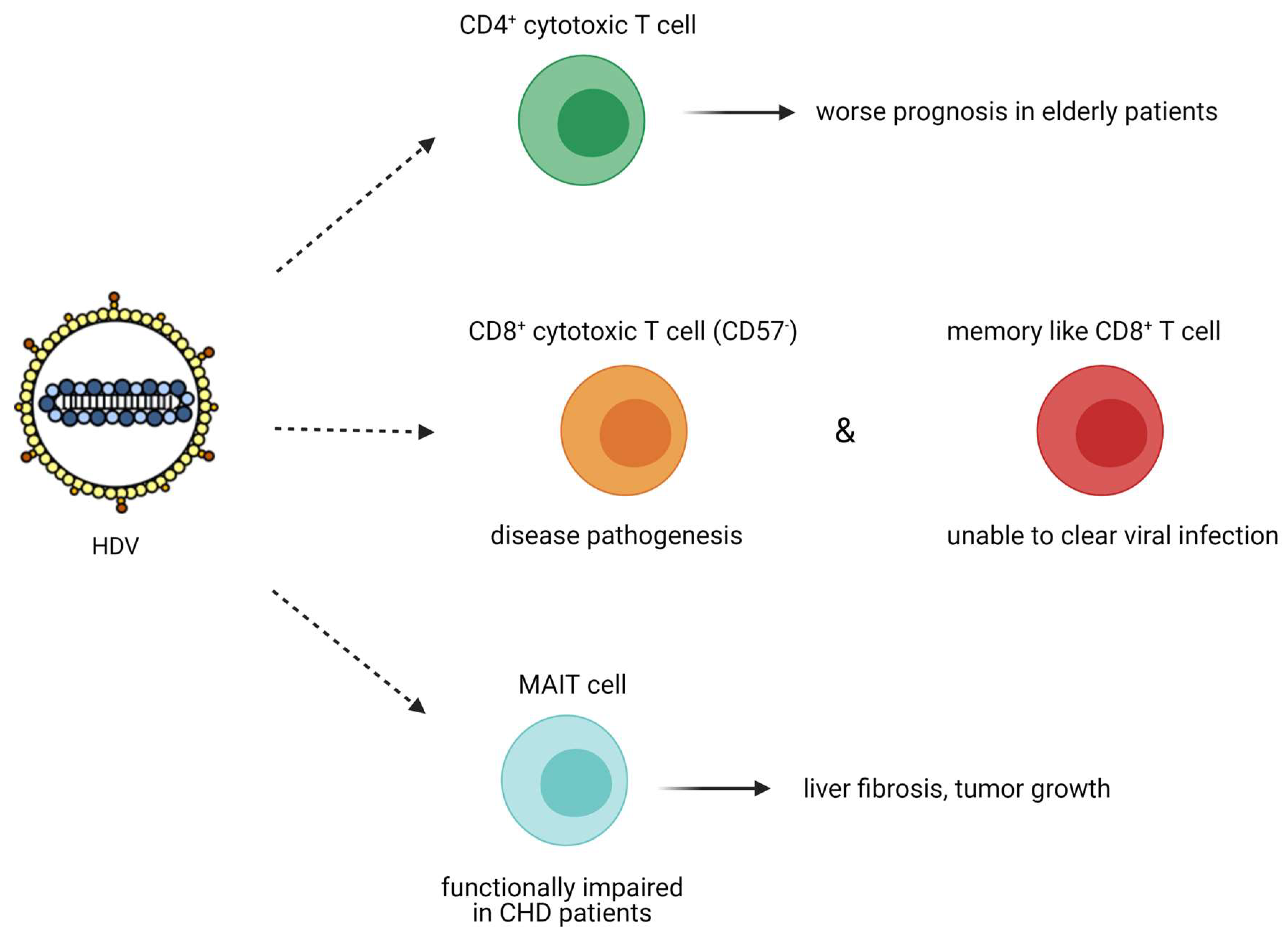 Viruses 13 00778 g007