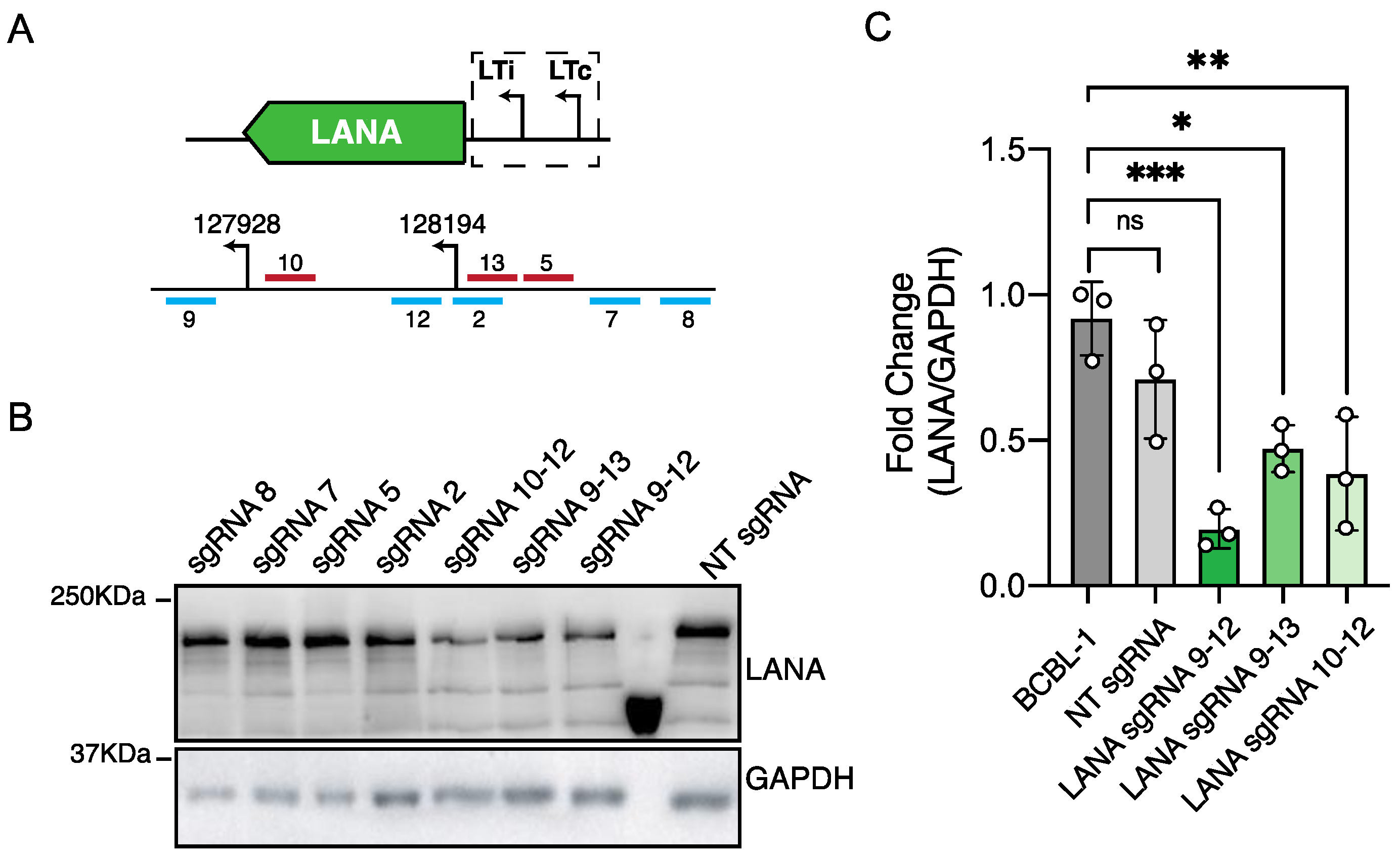 Viruses 13 00783 g006
