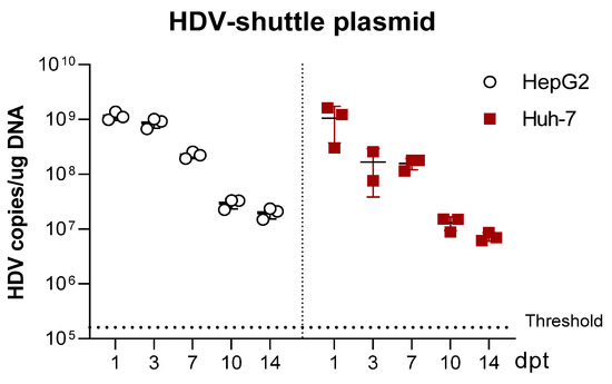 Viruses 13 00788 g0a1
