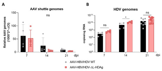 Viruses 13 00788 g0a3