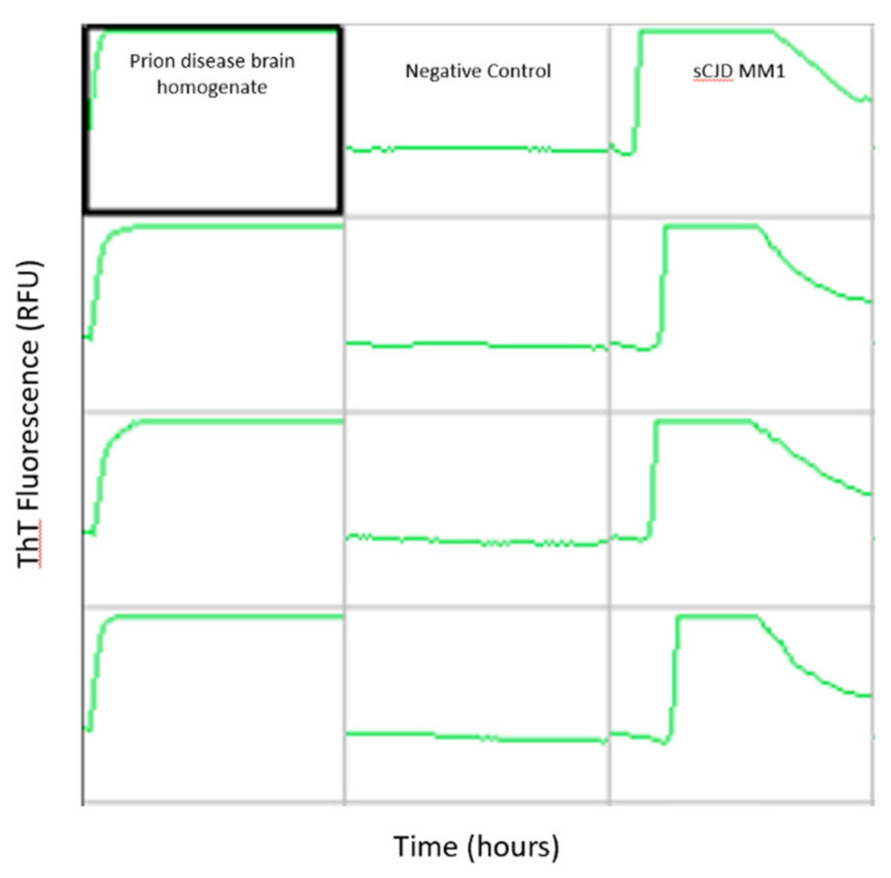 Viruses 13 00789 g002