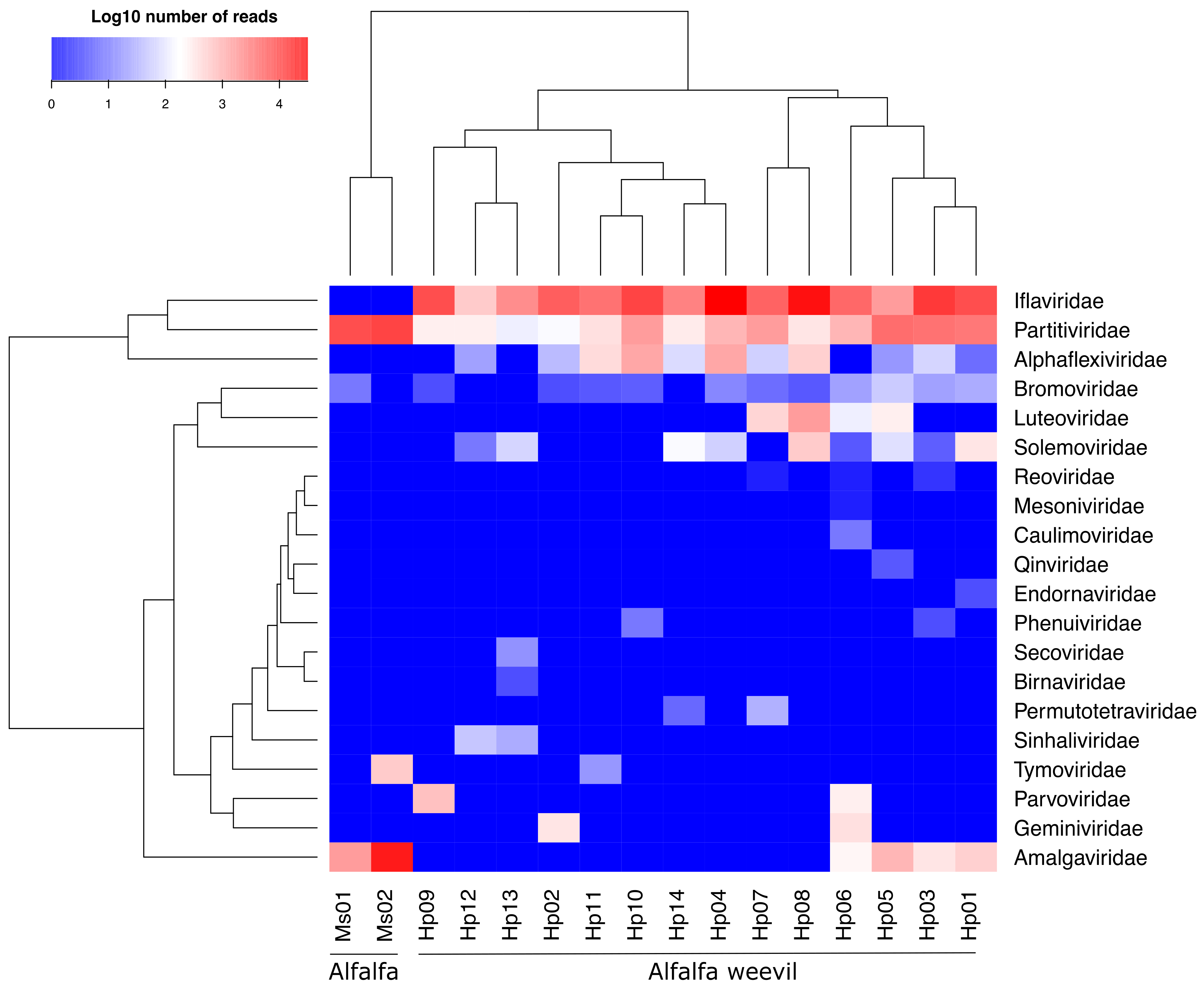 Viruses 13 00791 g004