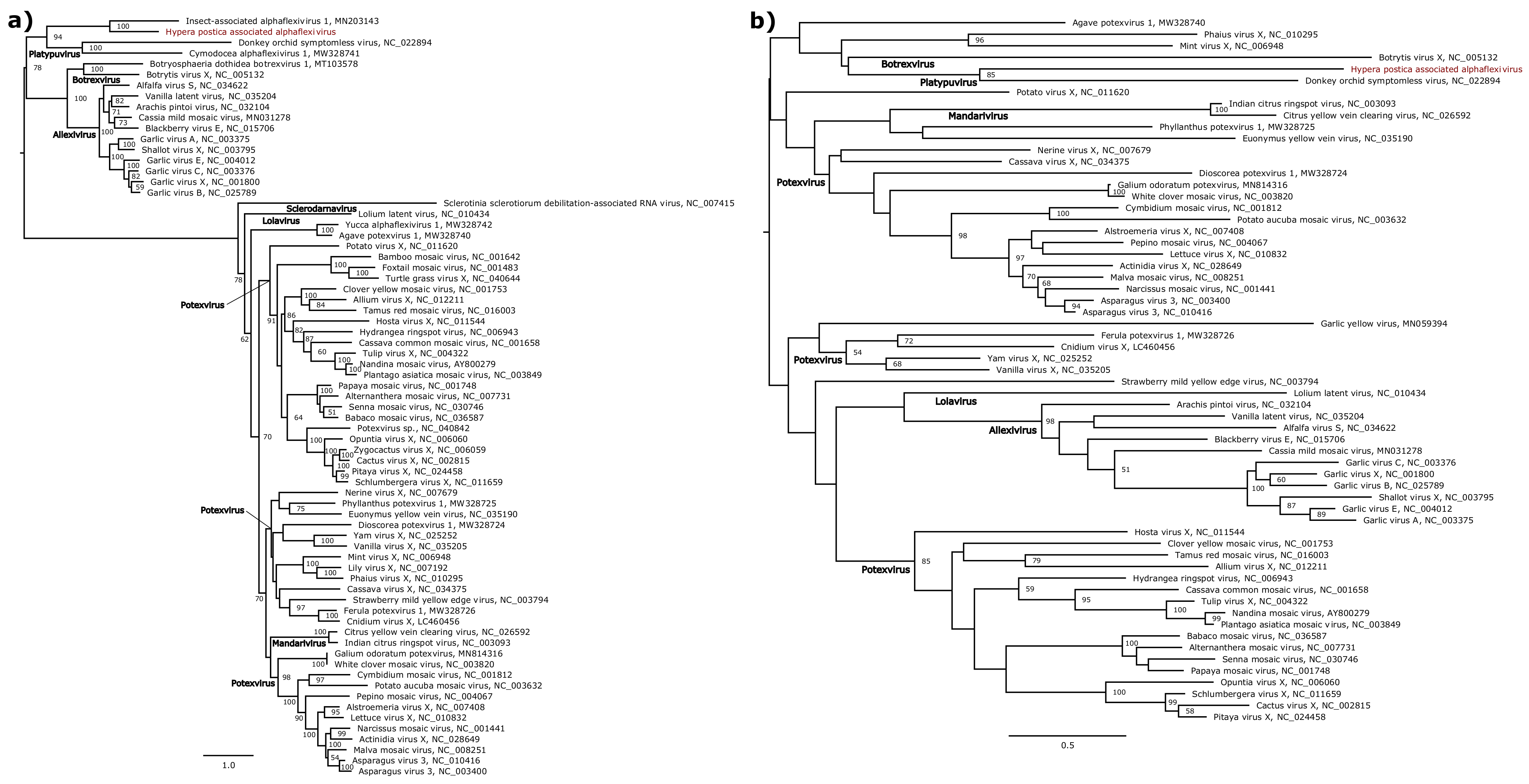 Viruses 13 00791 g005