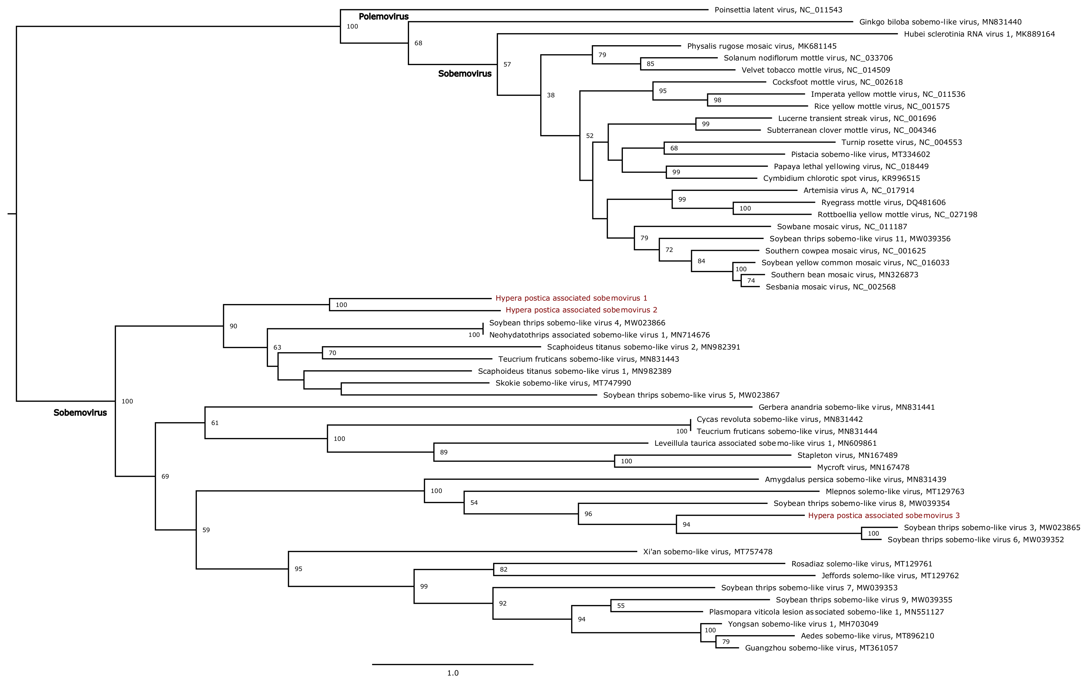 Viruses 13 00791 g006