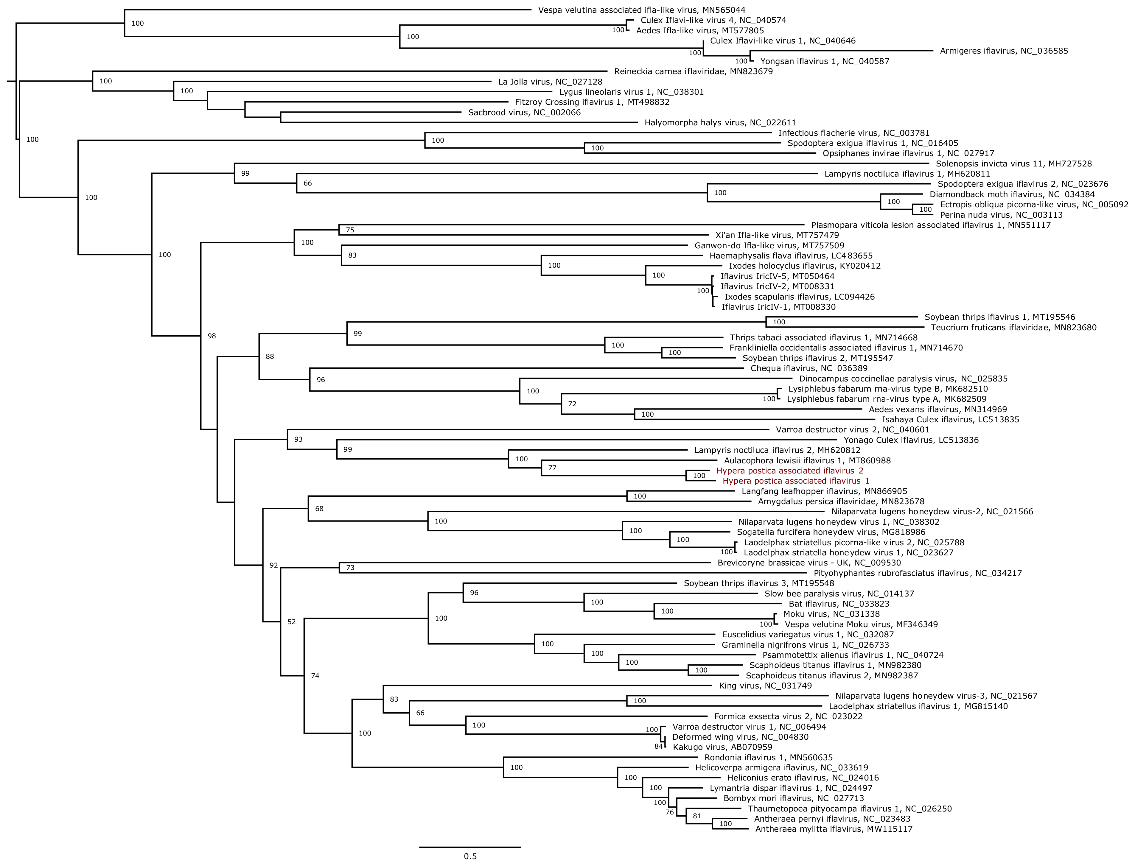 Viruses 13 00791 g007