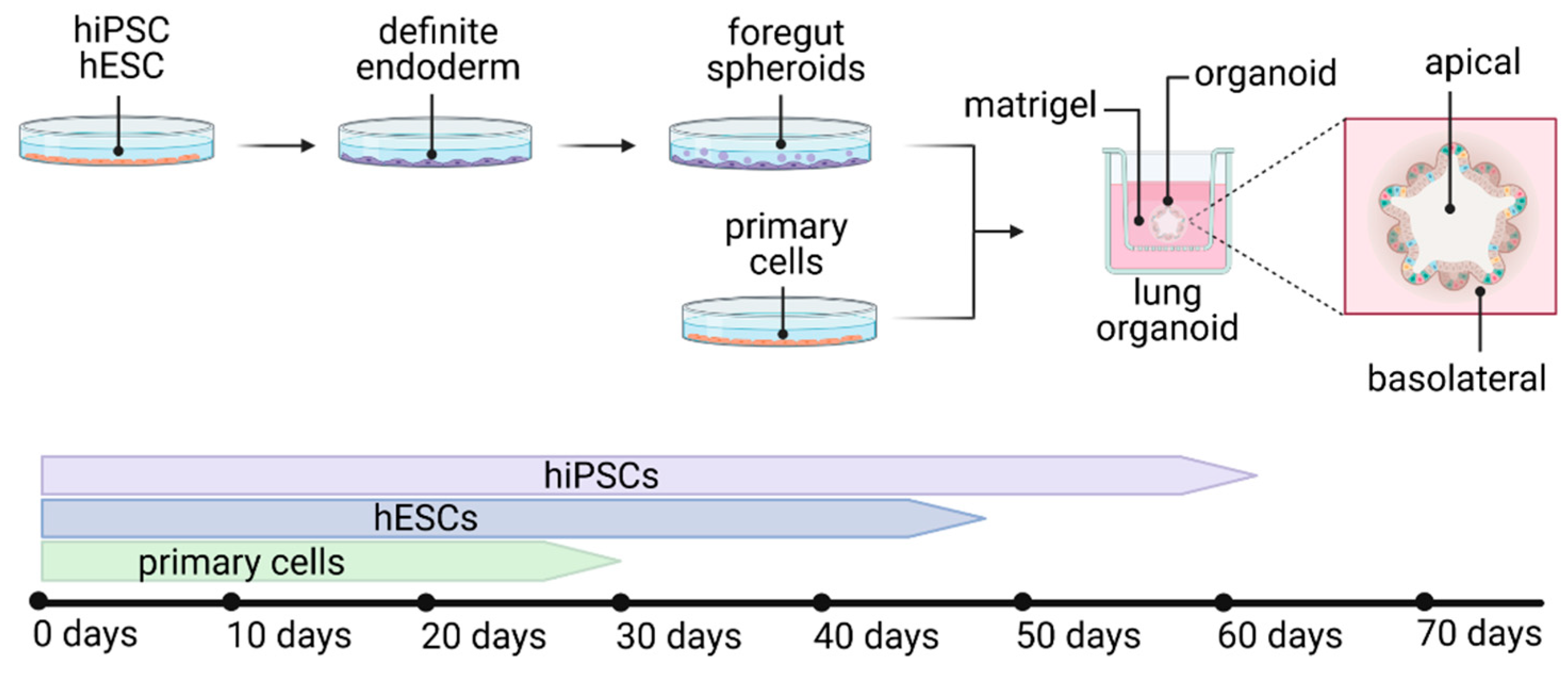 Viruses 13 00792 g003