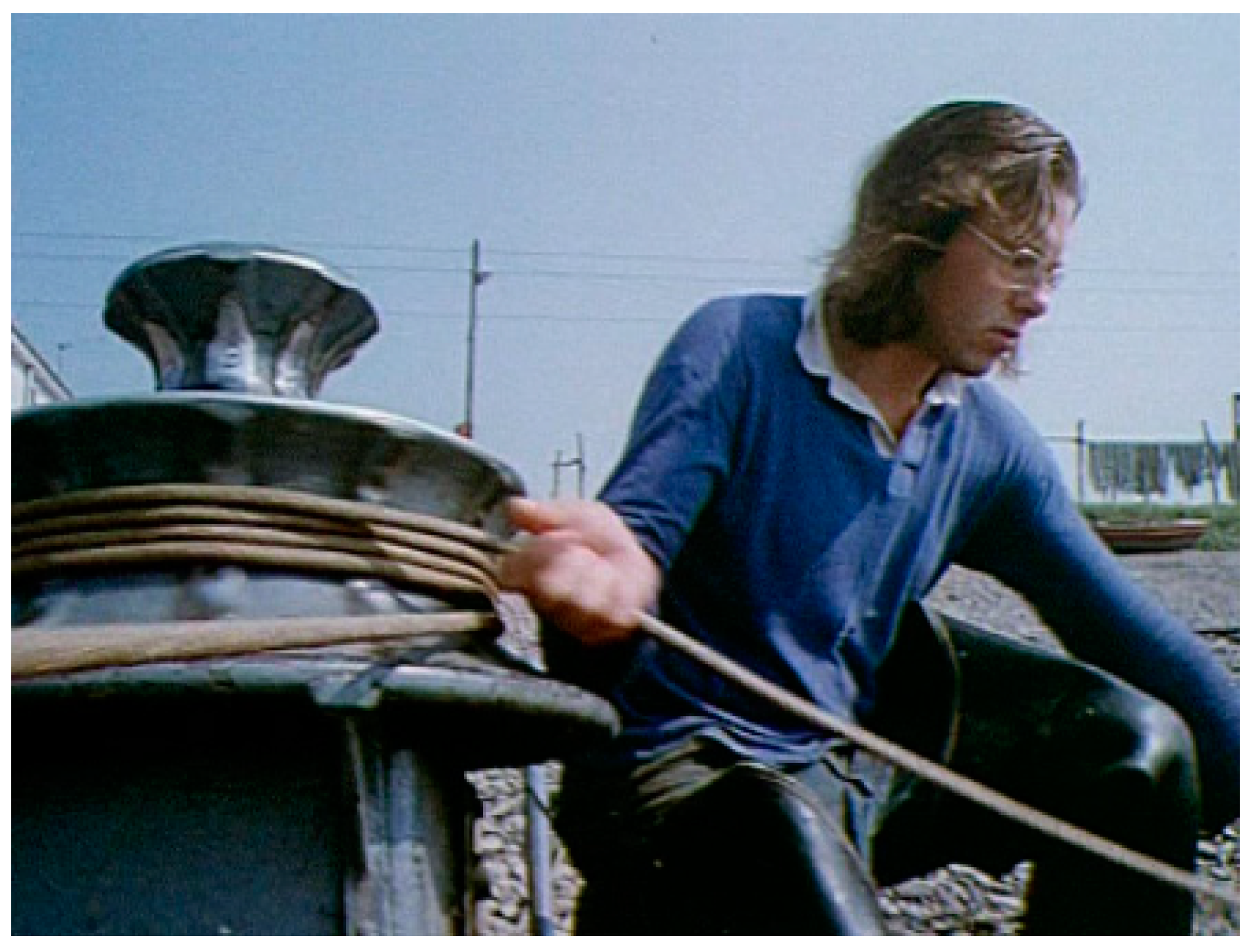 Viruses 13 00793 g001