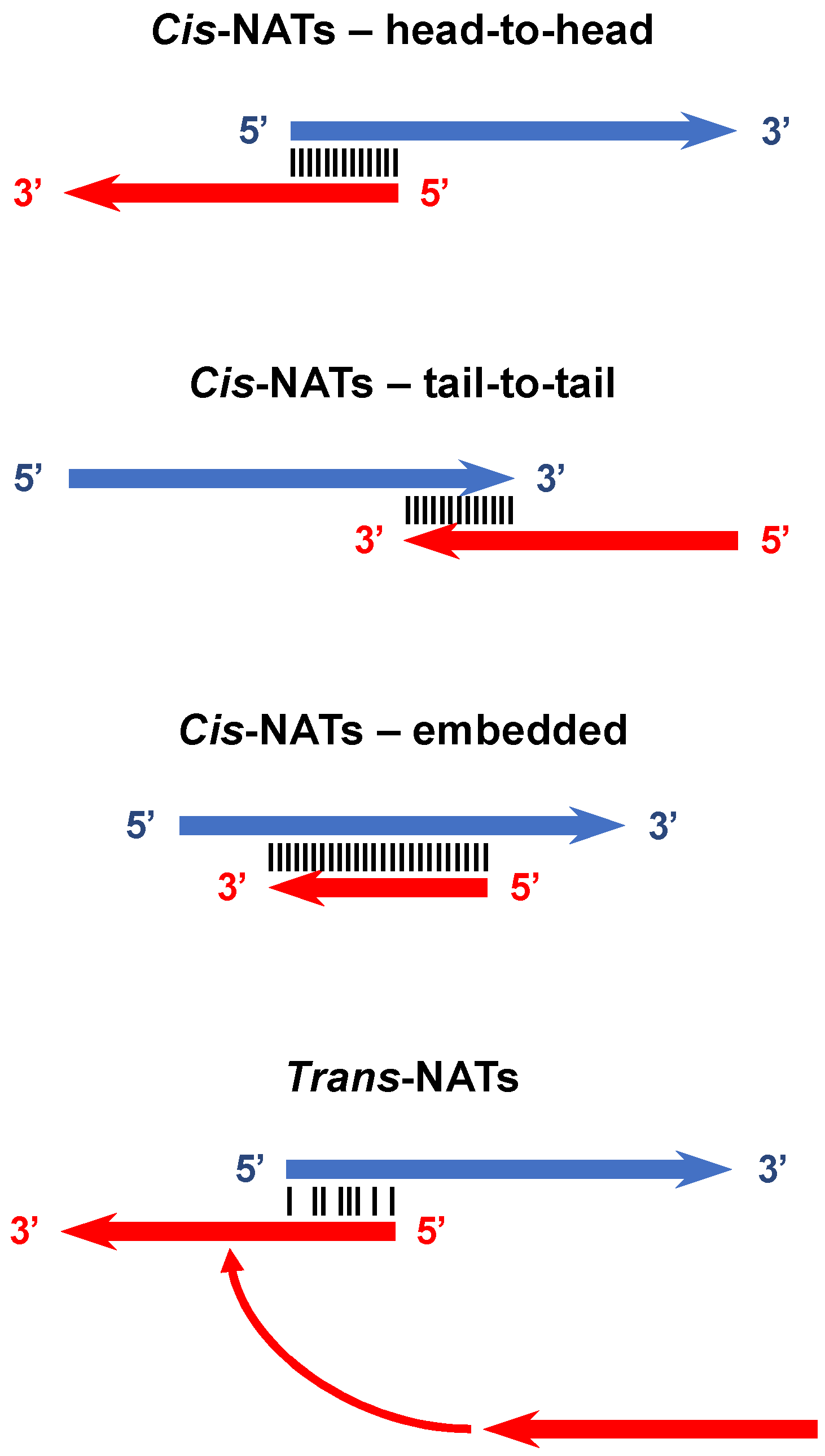Viruses 13 00795 g001
