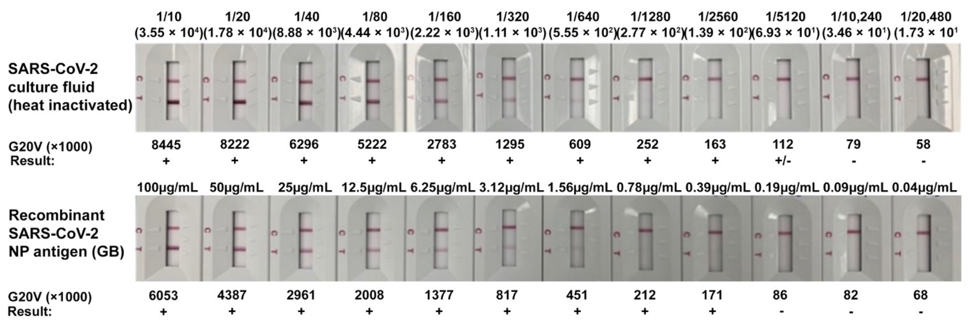 Viruses 13 00796 g006