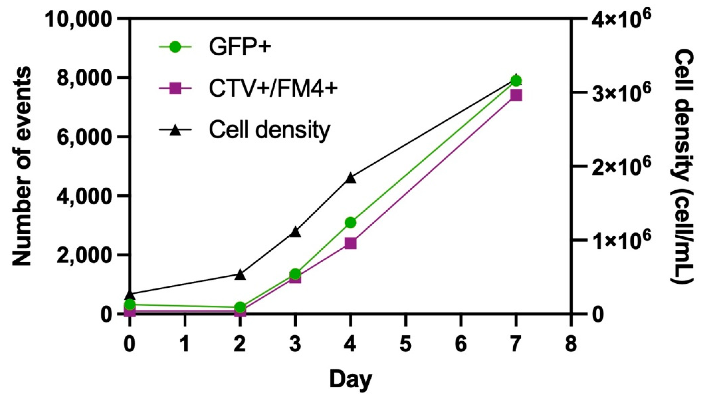 Viruses 13 00797 g001