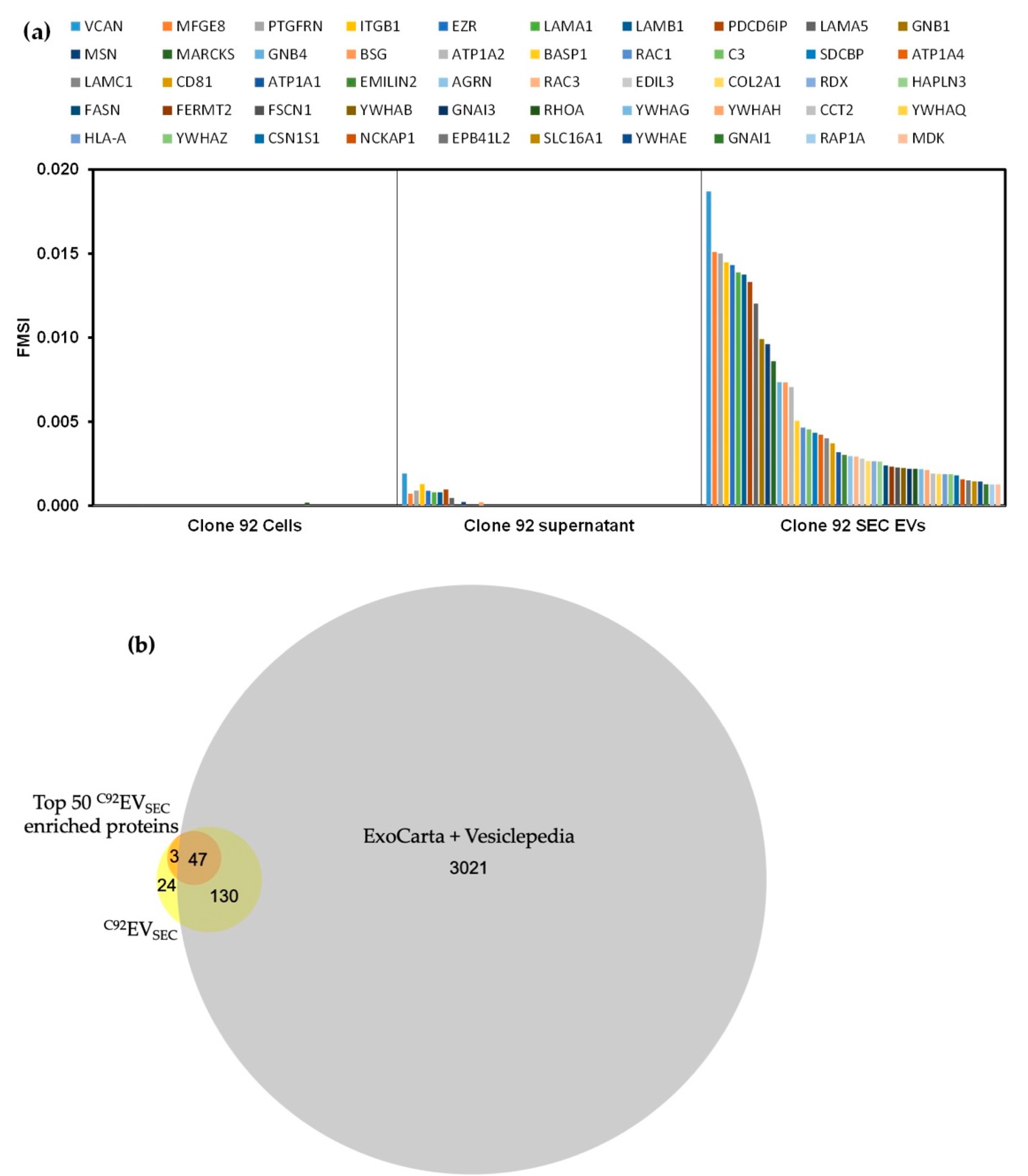 Viruses 13 00797 g003