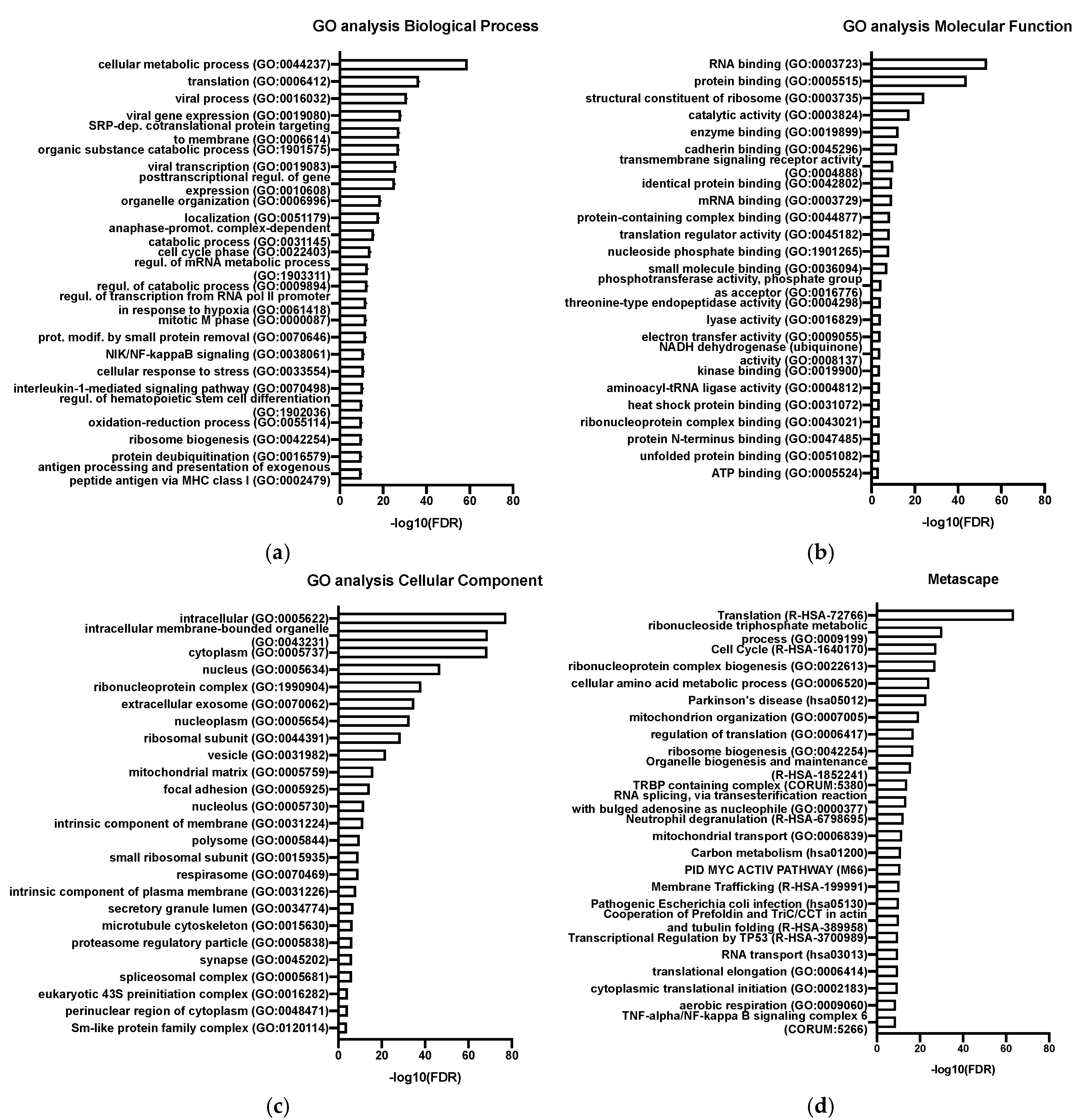 Viruses 13 00797 g005