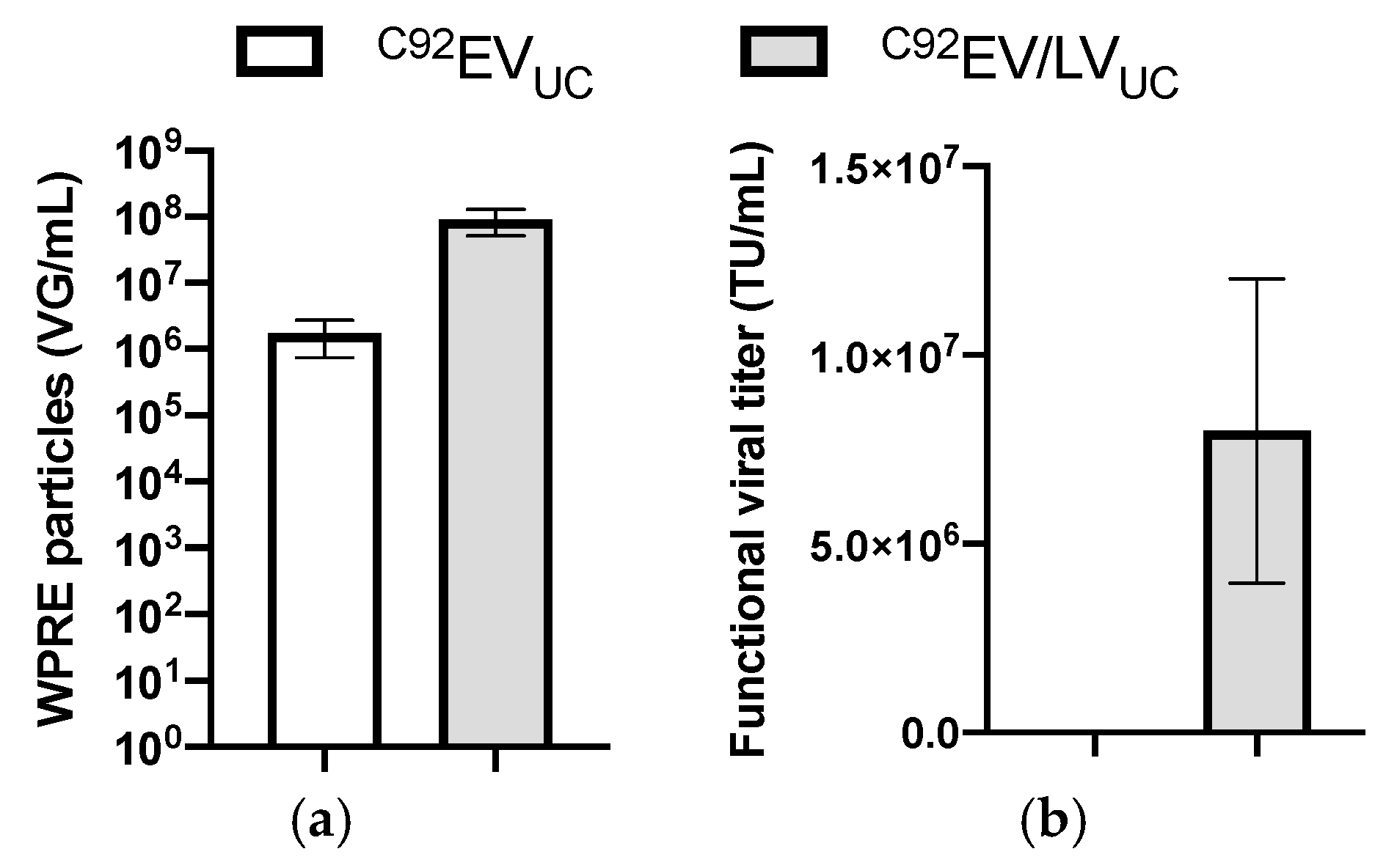 Viruses 13 00797 g008