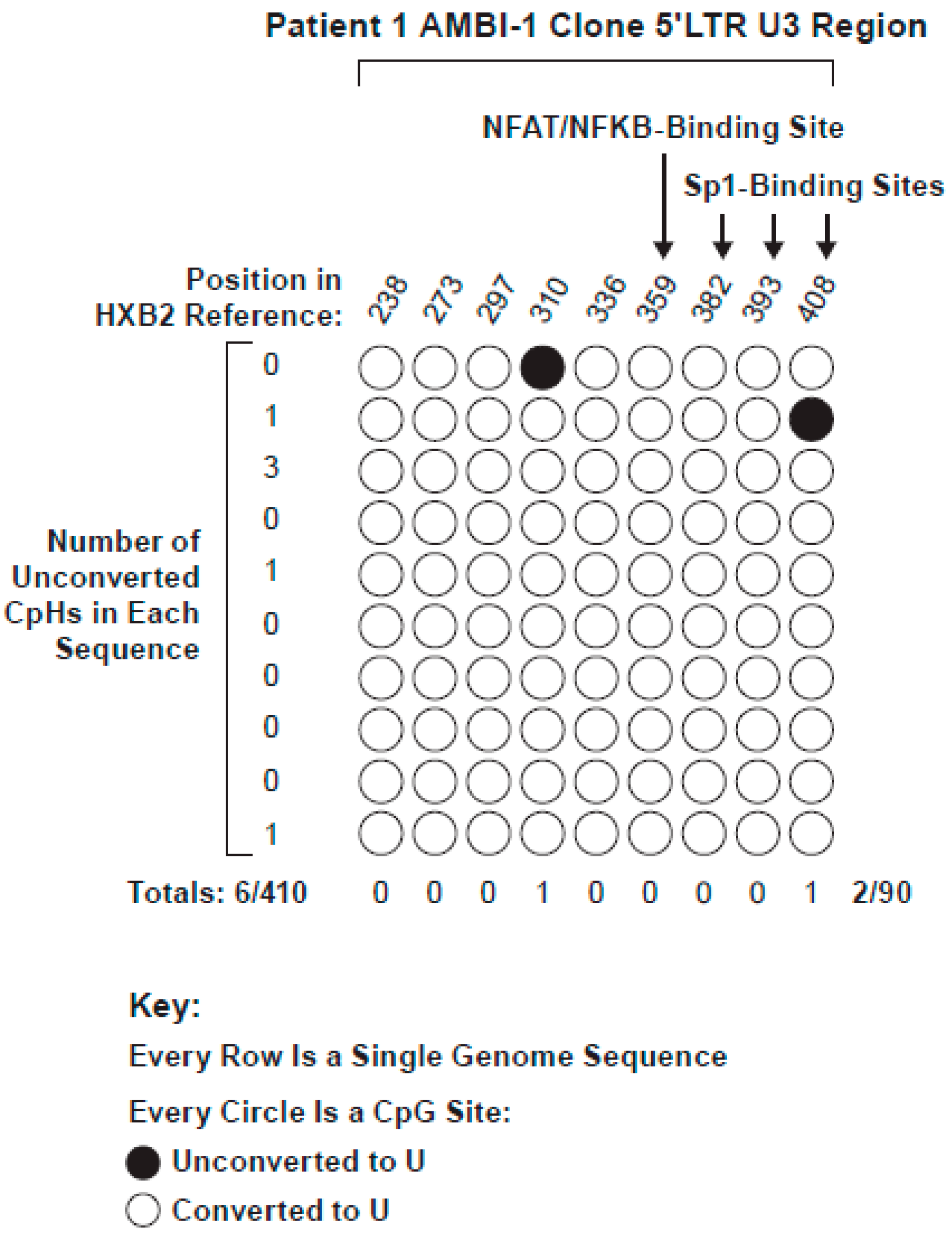 Viruses 13 00799 g003