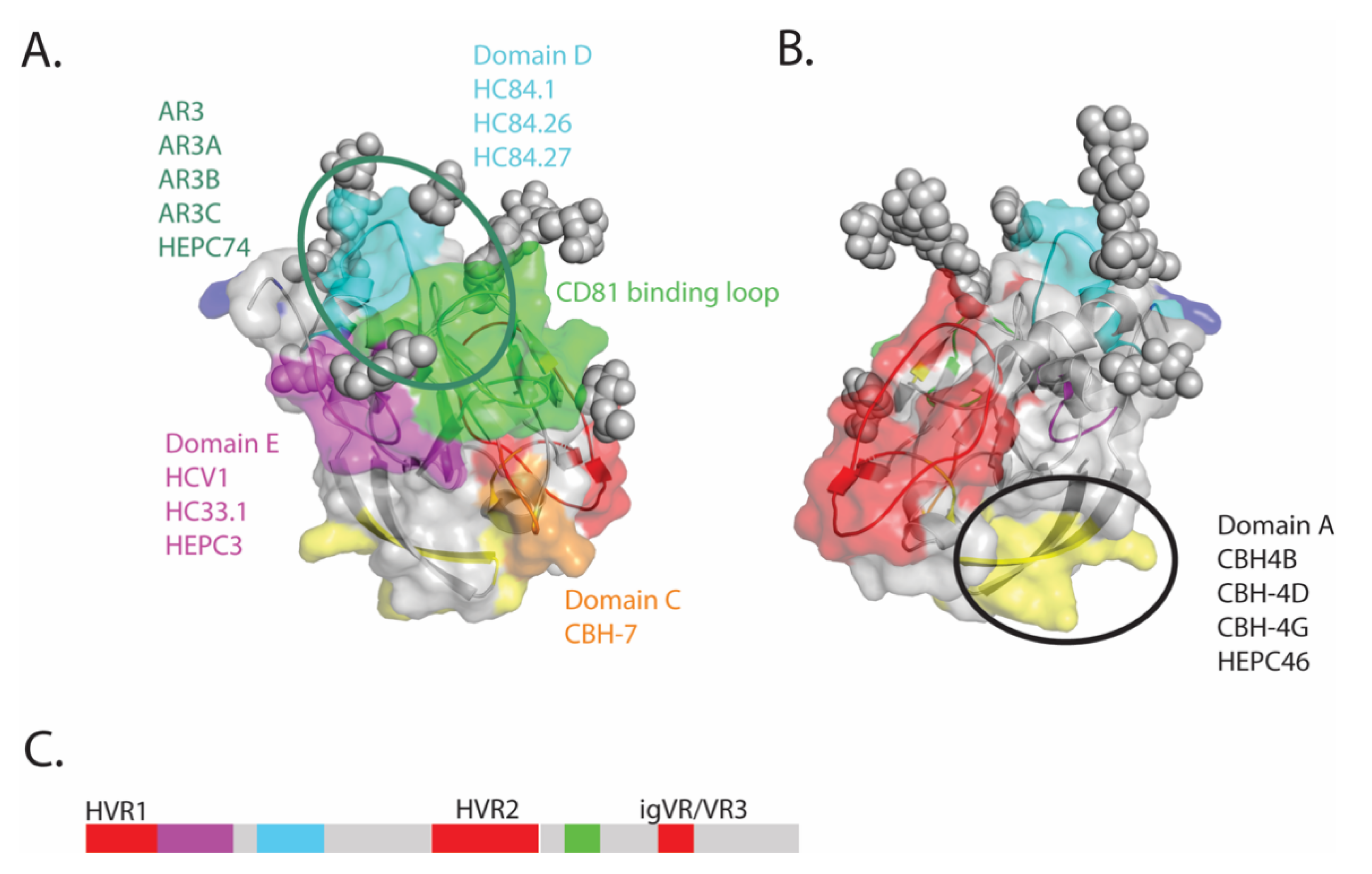 Viruses 13 00805 g001 Viruses 13 00805 g001