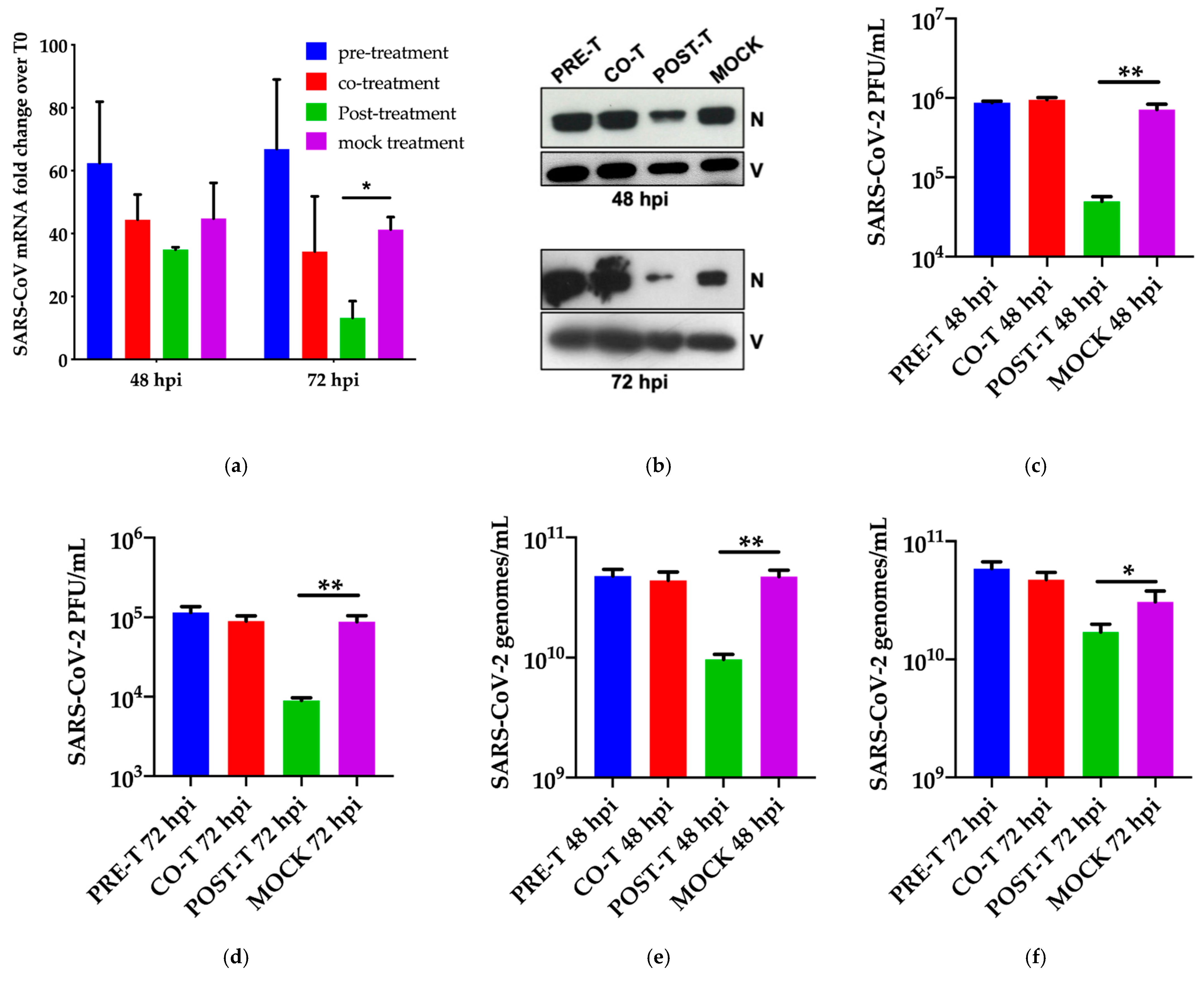Viruses 13 00808 g002a