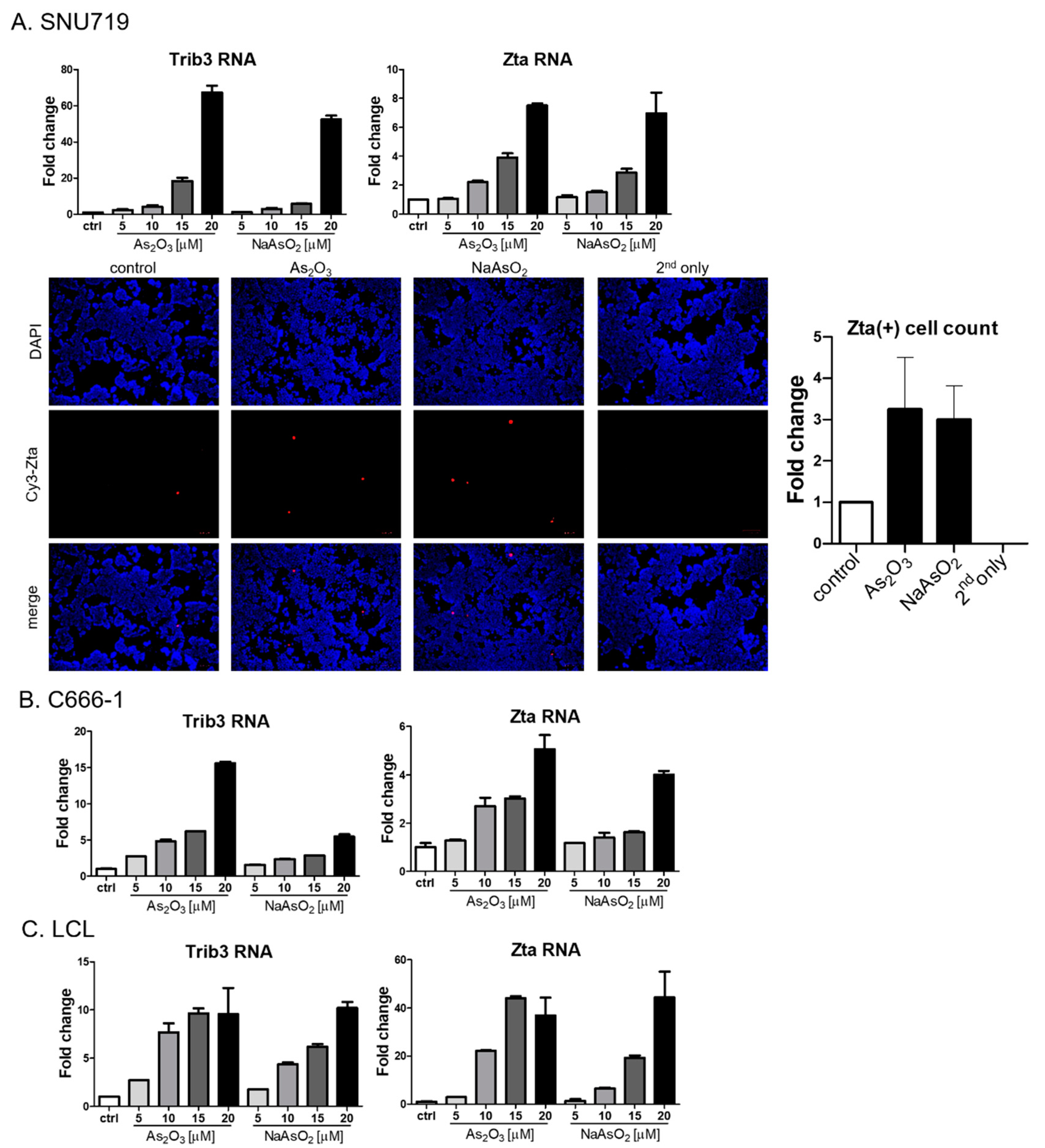 Viruses 13 00812 g004