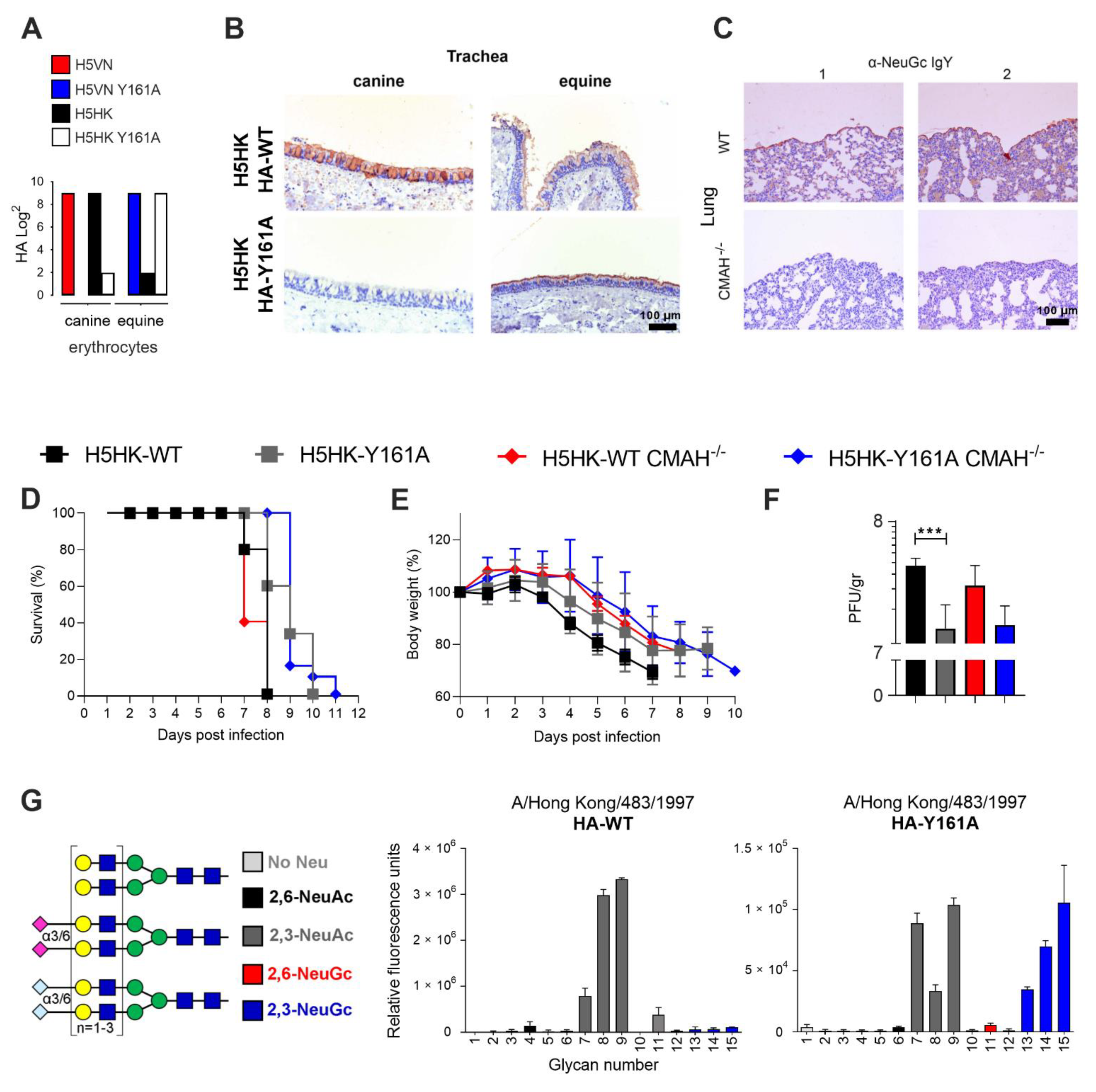Viruses 13 00815 g003