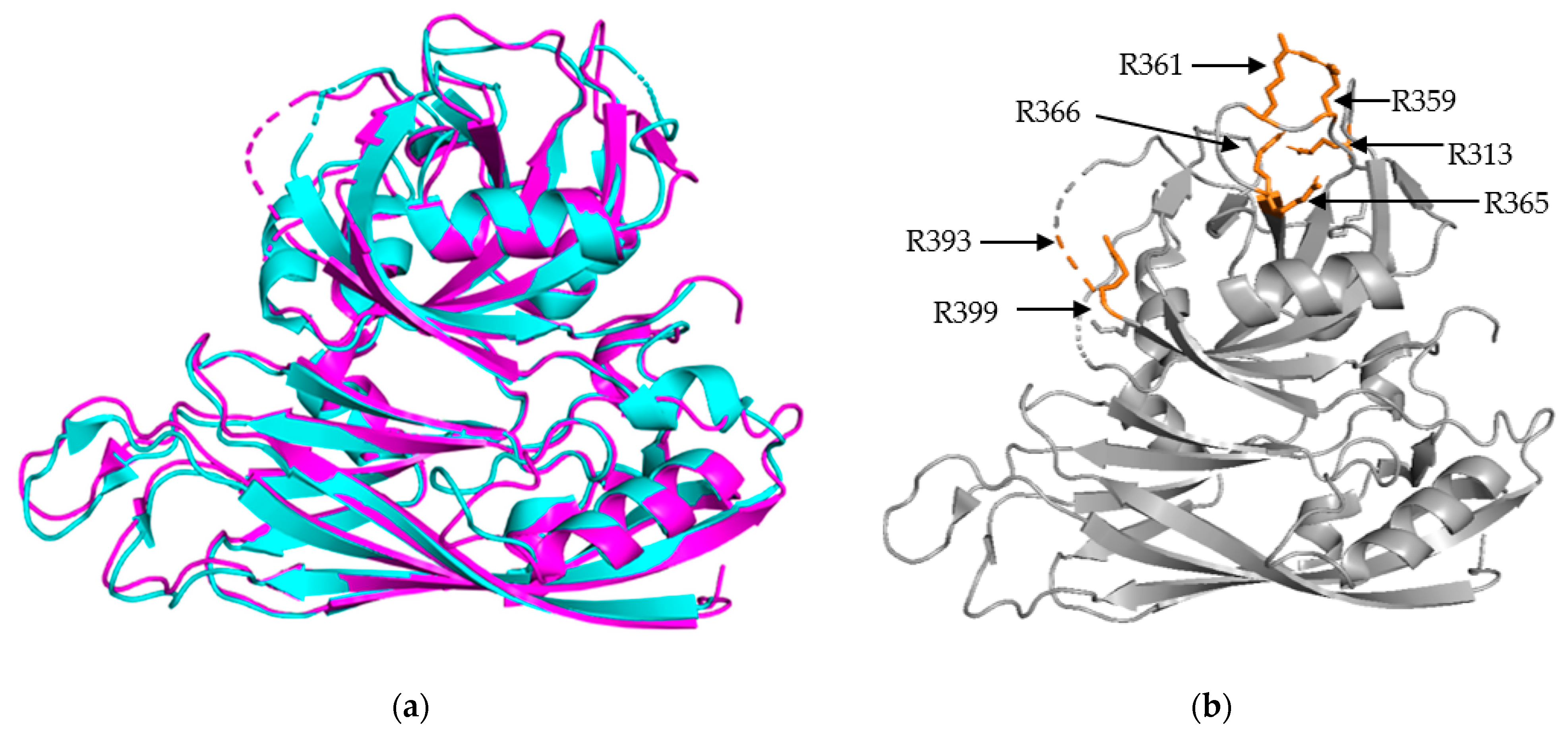 Viruses 13 00821 g002