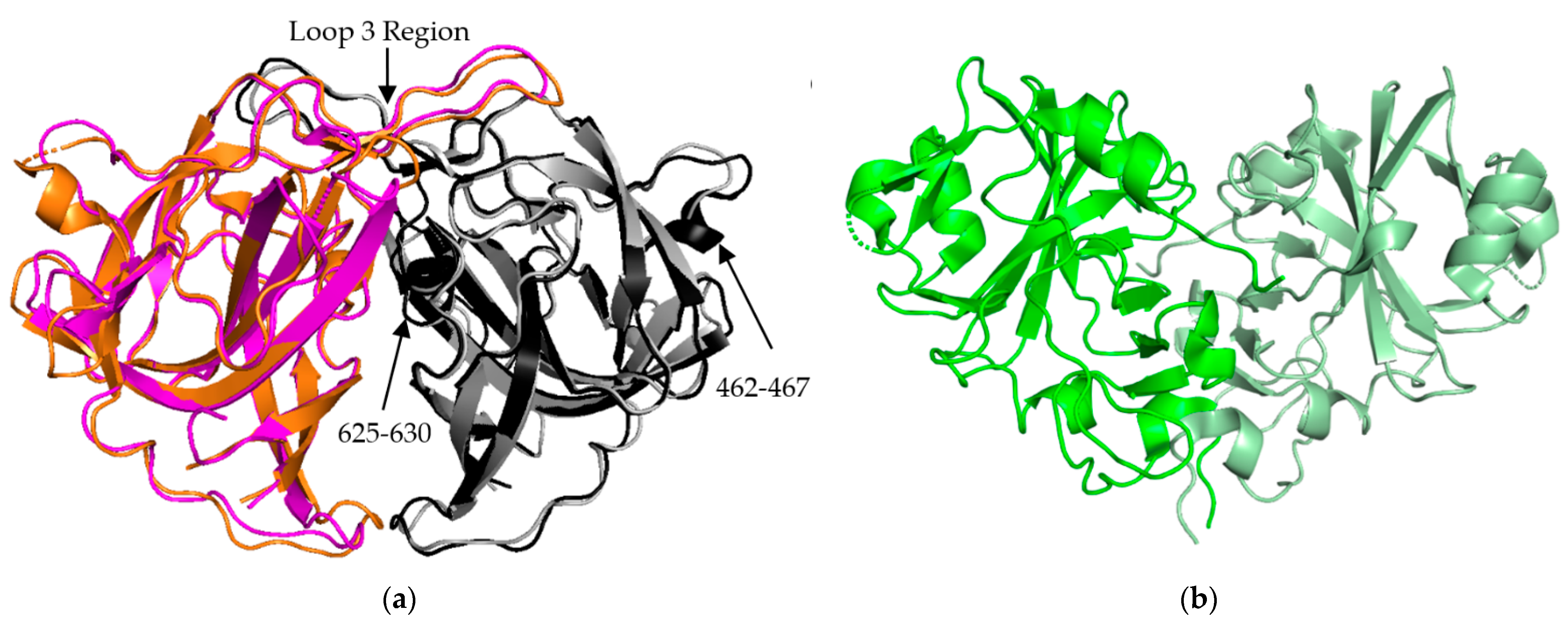 Viruses 13 00821 g003