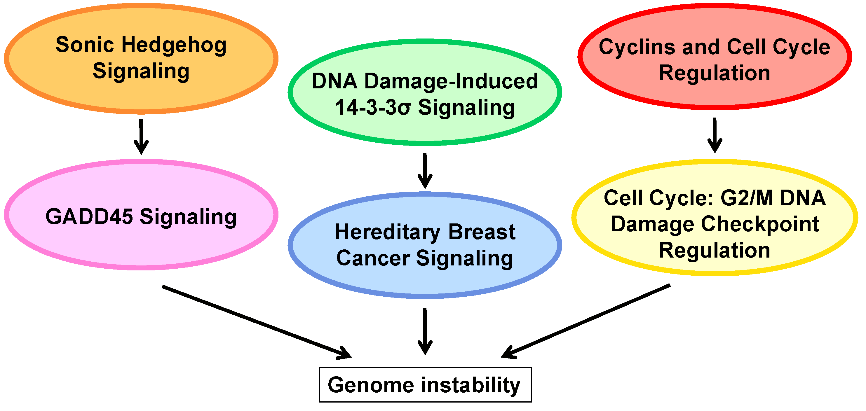 Viruses 13 00830 g001