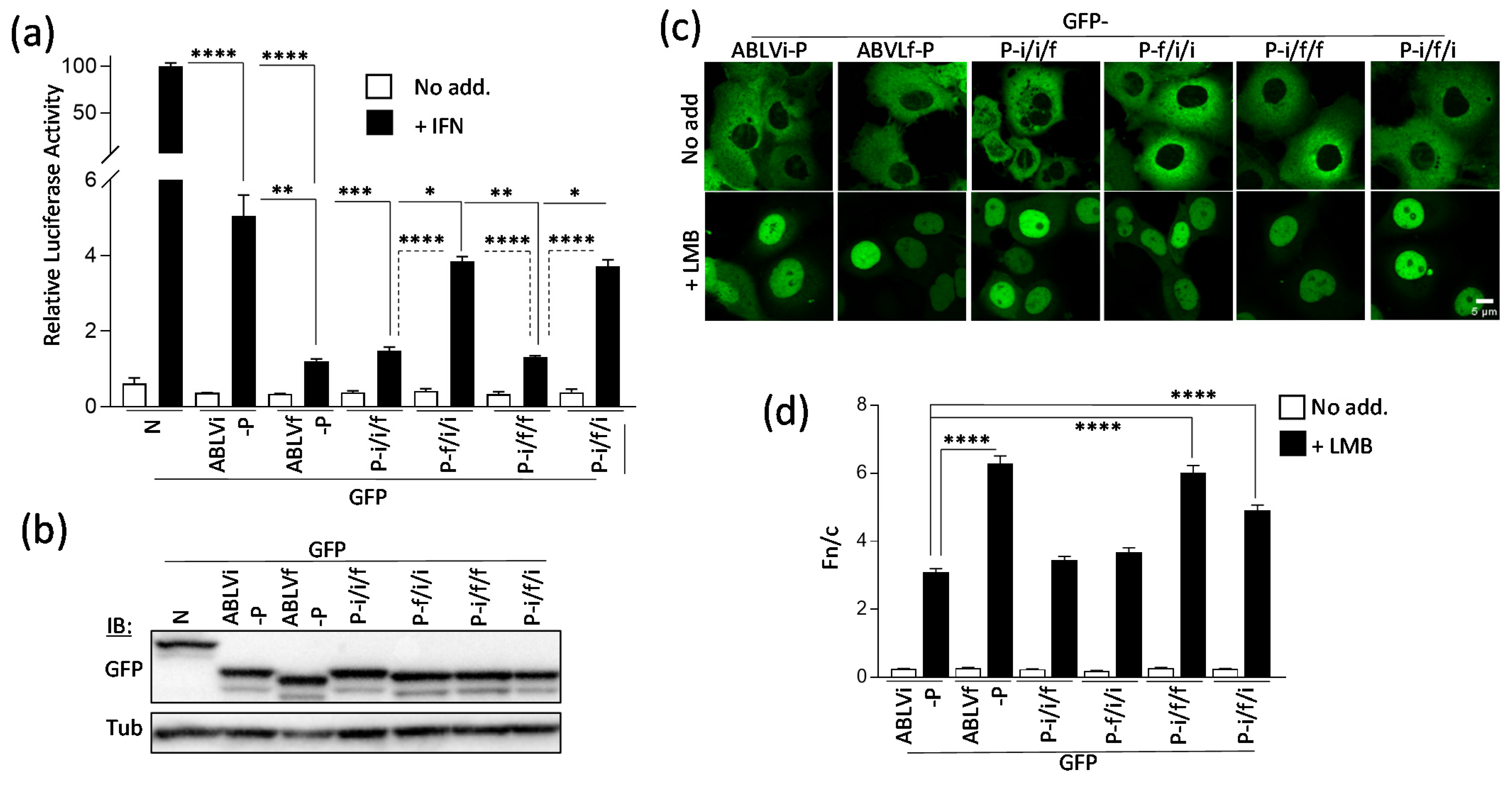 Viruses 13 00831 g002