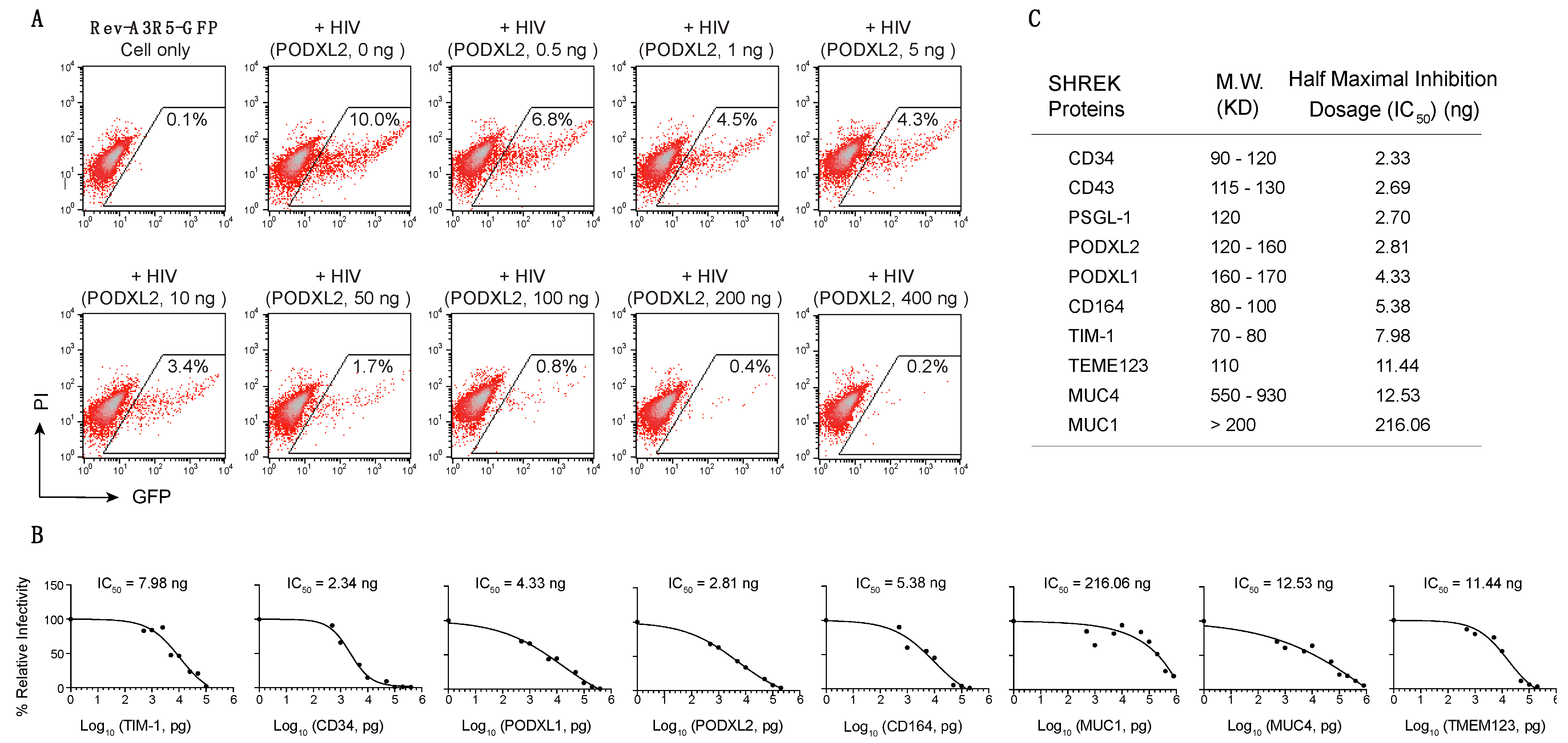 Viruses 13 00832 g002
