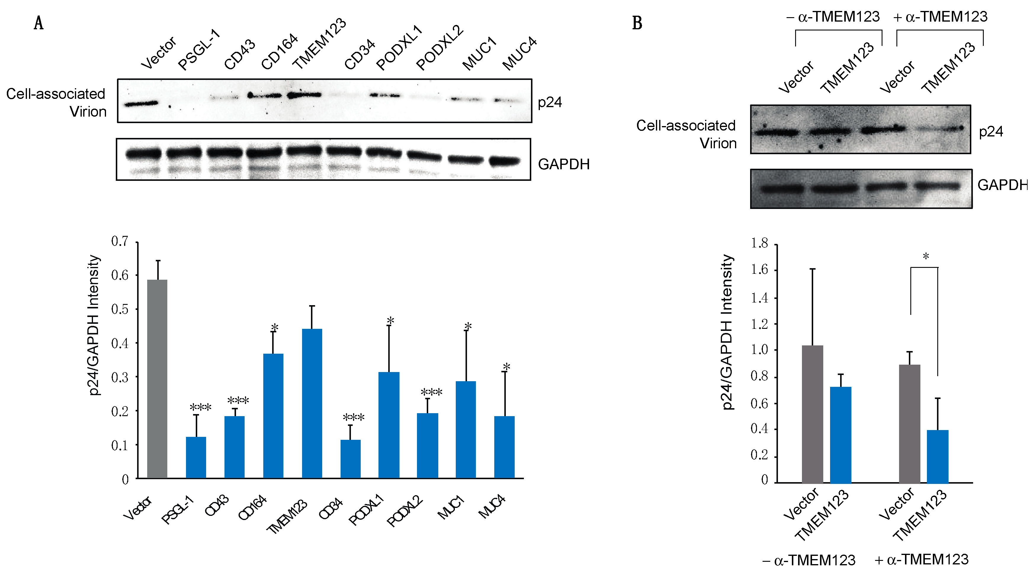 Viruses 13 00832 g005