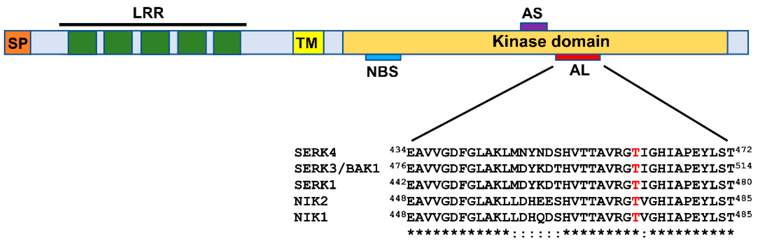Viruses 13 00840 g002