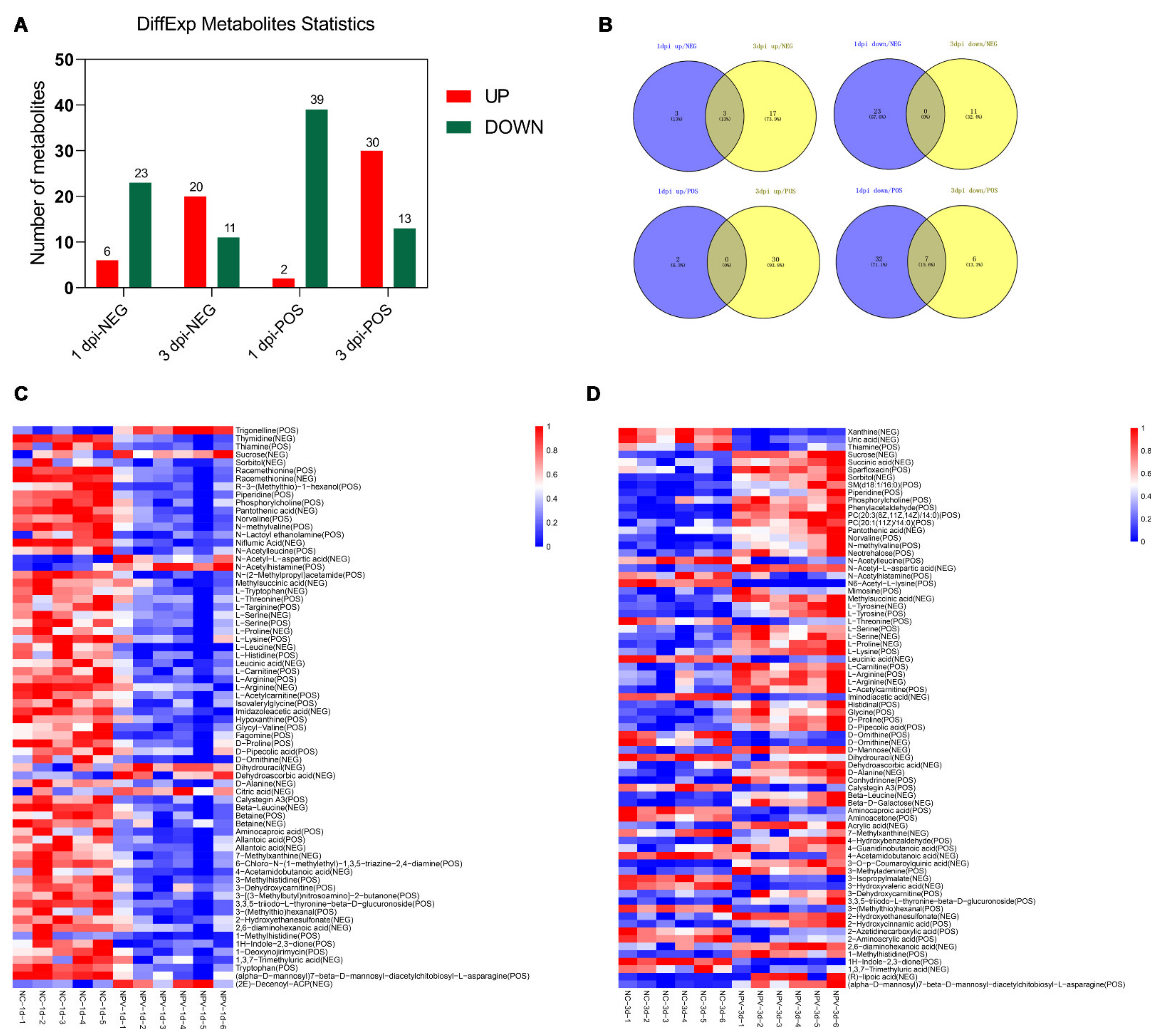 Viruses 13 00841 g004