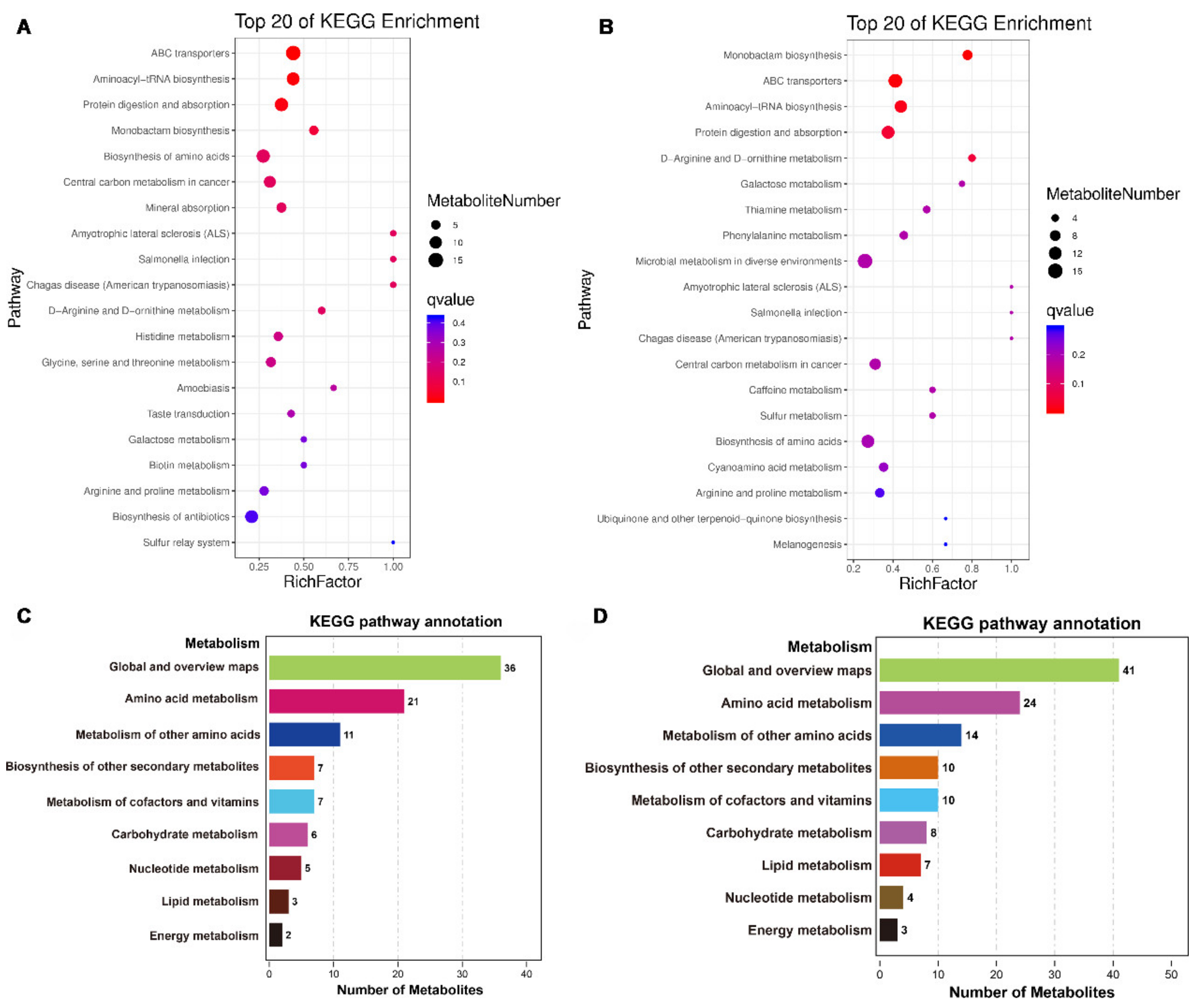 Viruses 13 00841 g005