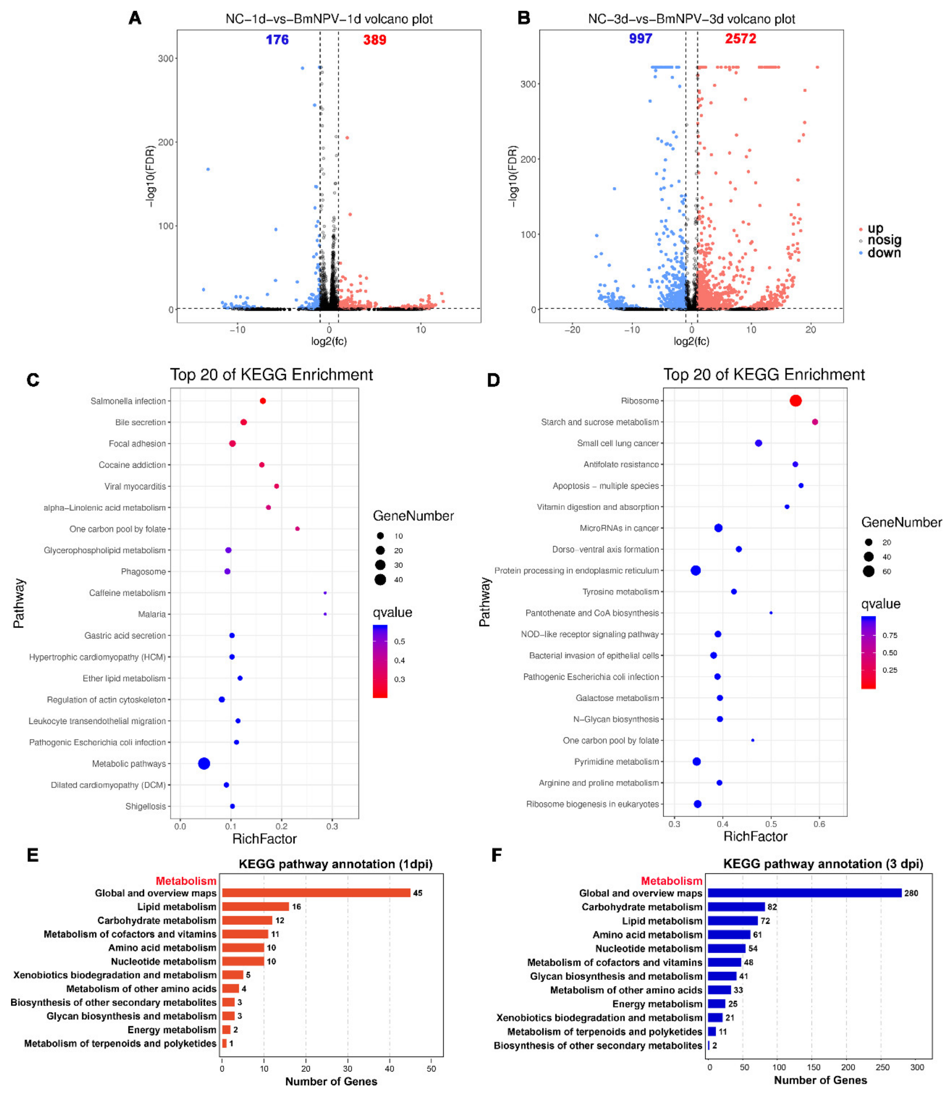Viruses 13 00841 g007