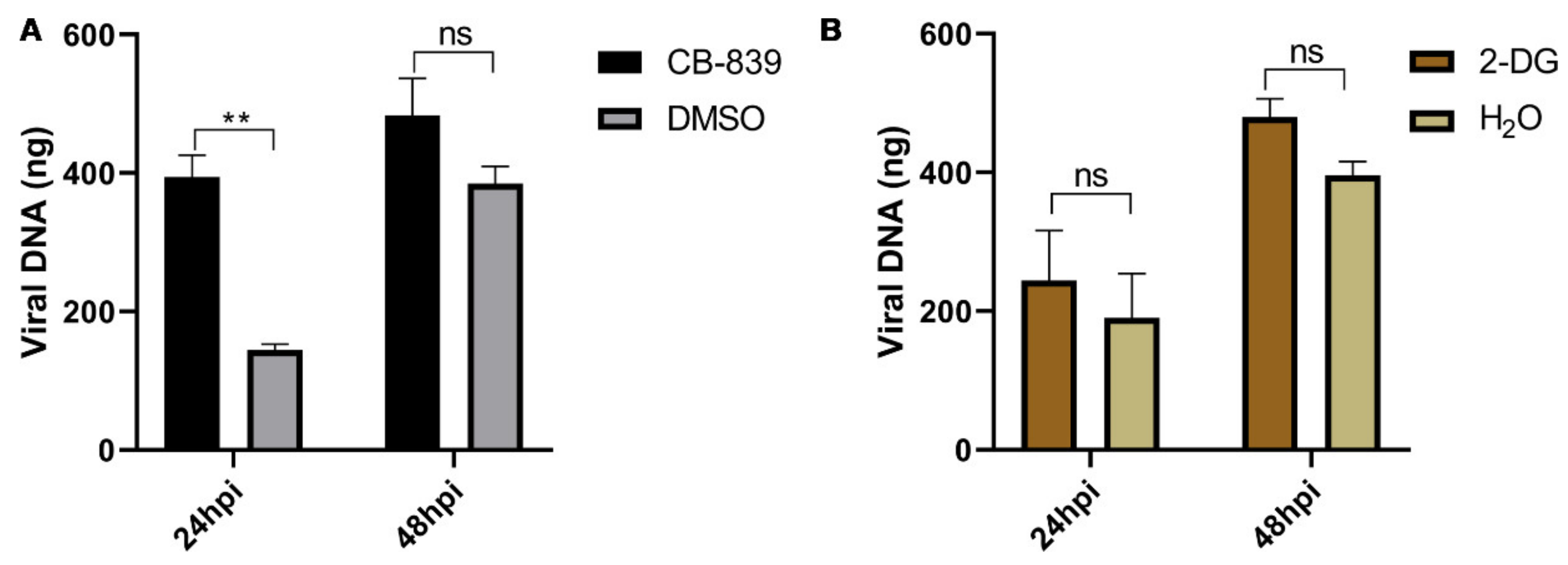 Viruses 13 00841 g009