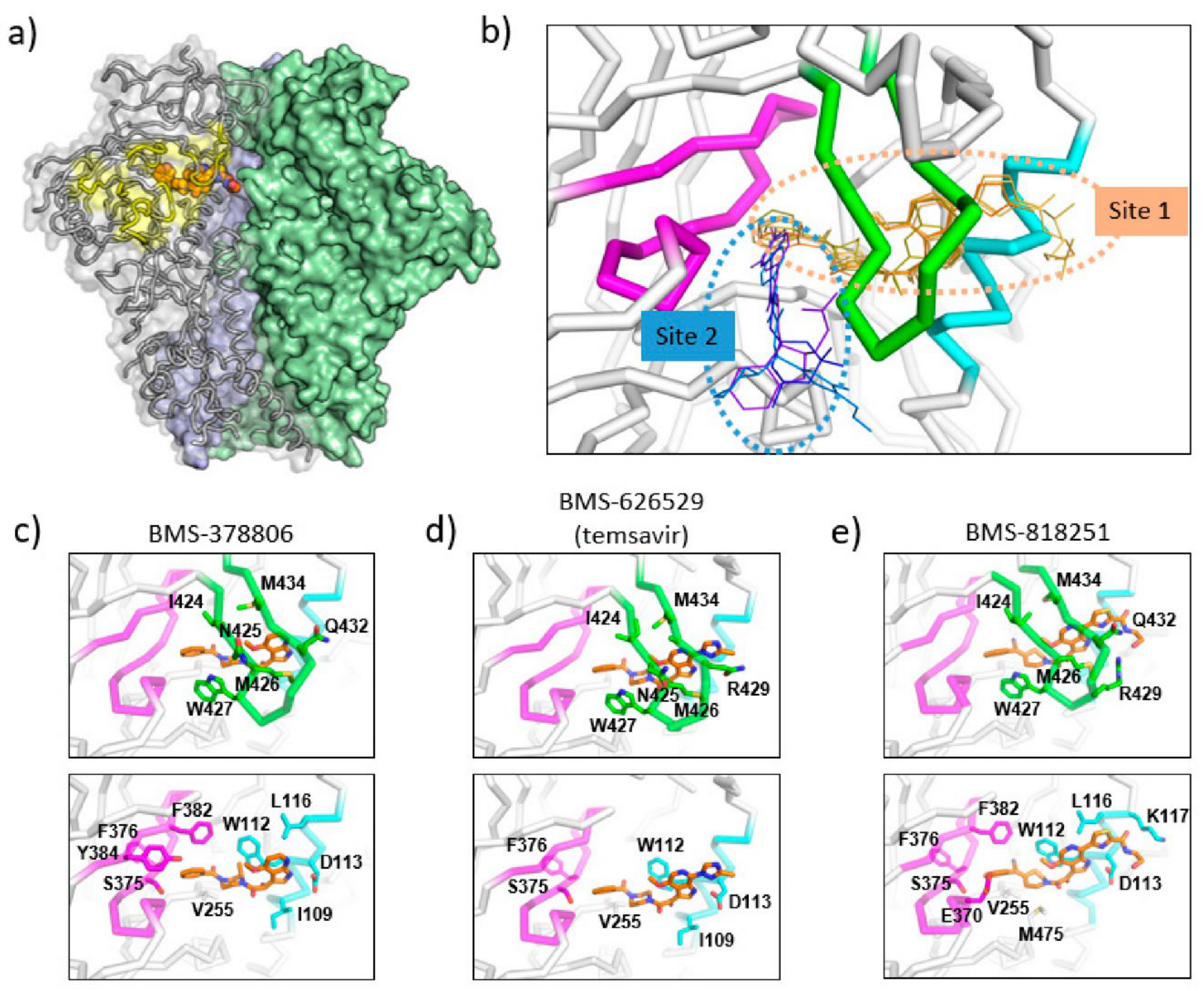 Viruses 13 00843 g003 Viruses 13 00843 g003