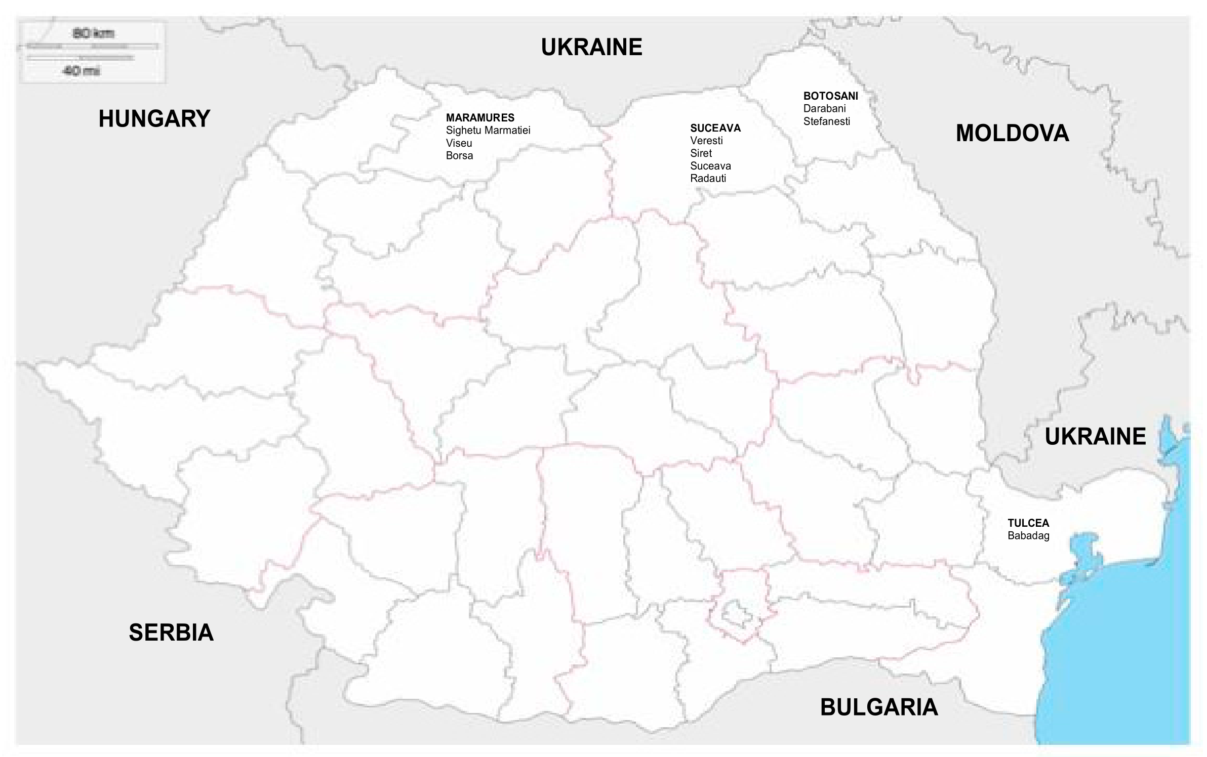 Viruses 13 00844 g001