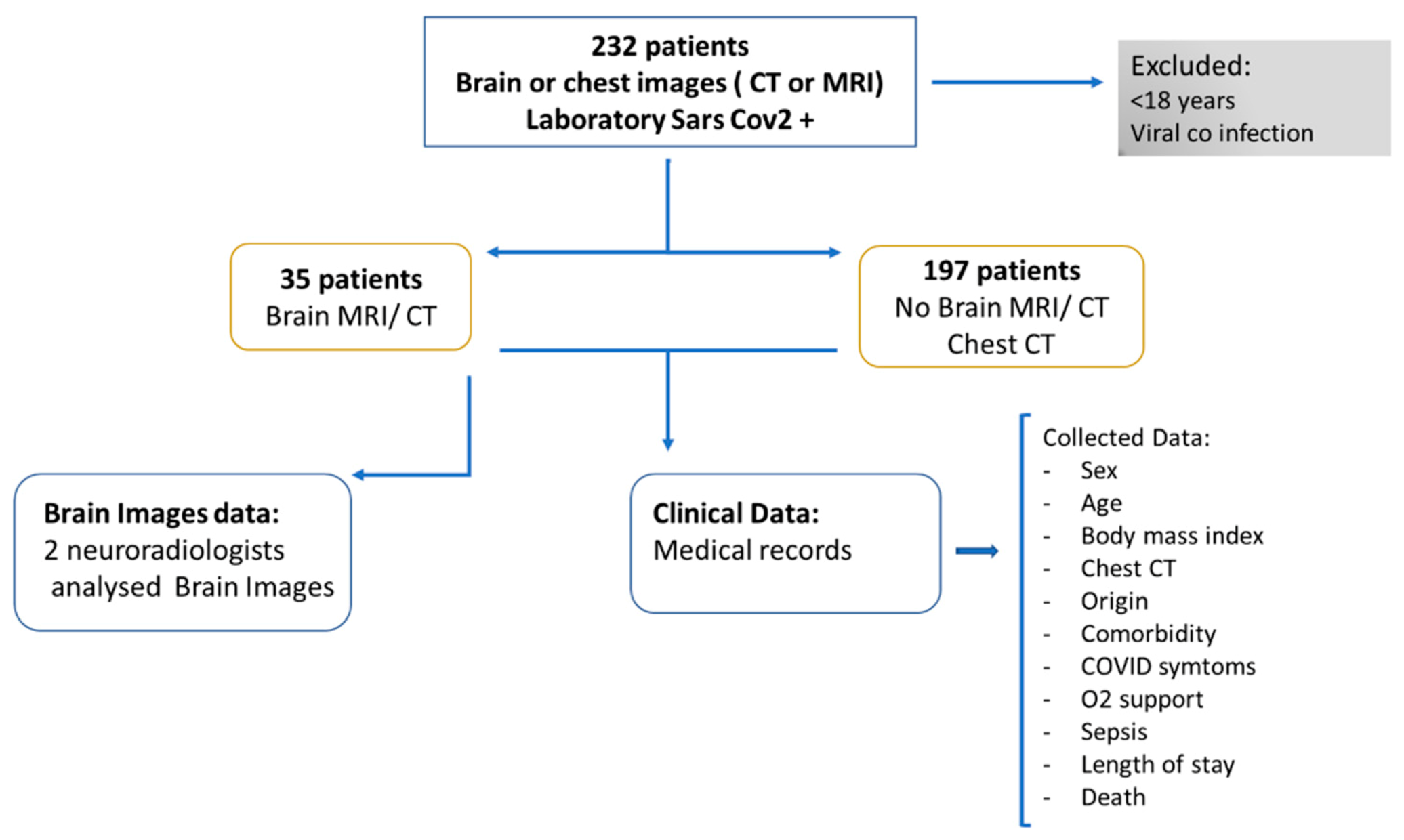 Viruses 13 00845 g001