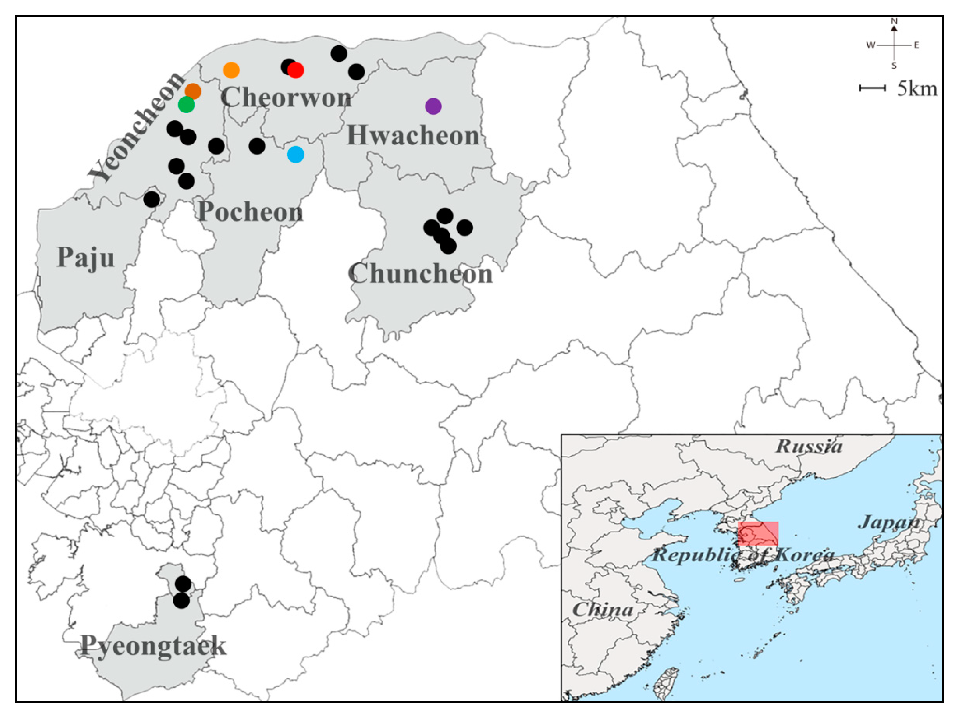 Viruses 13 00847 g002