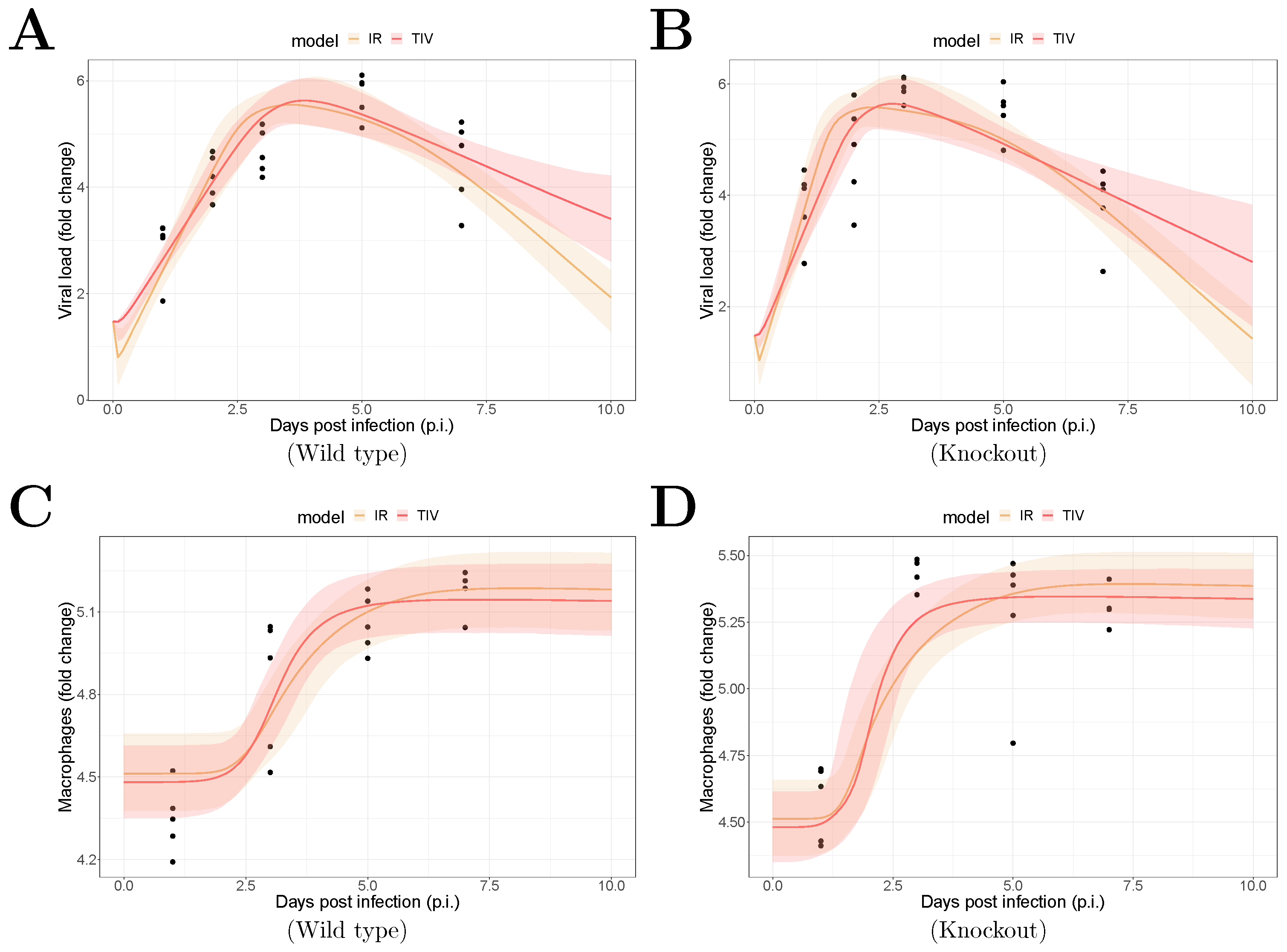 Viruses 13 00850 g001