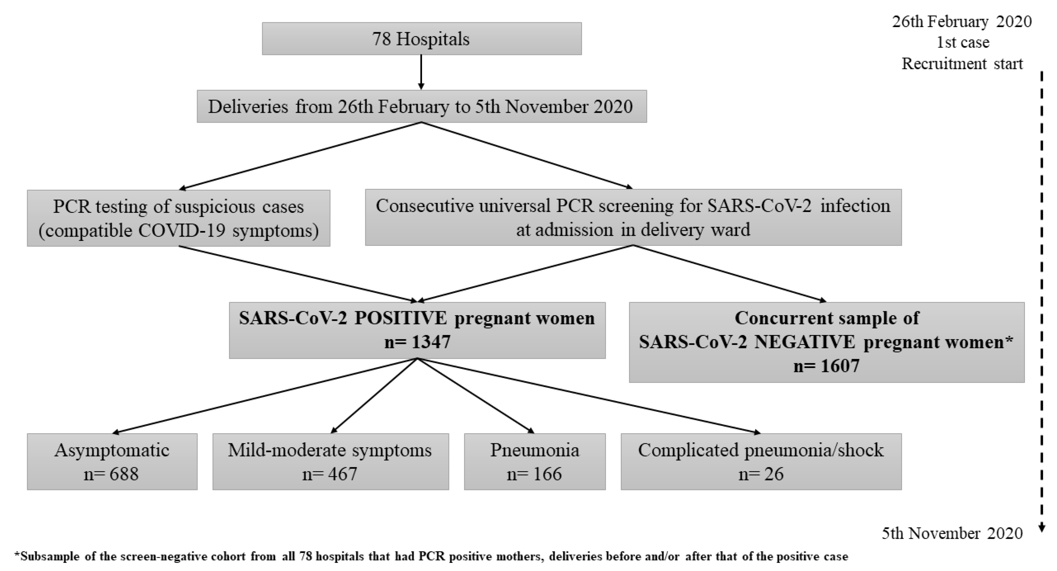 Viruses 13 00853 g001