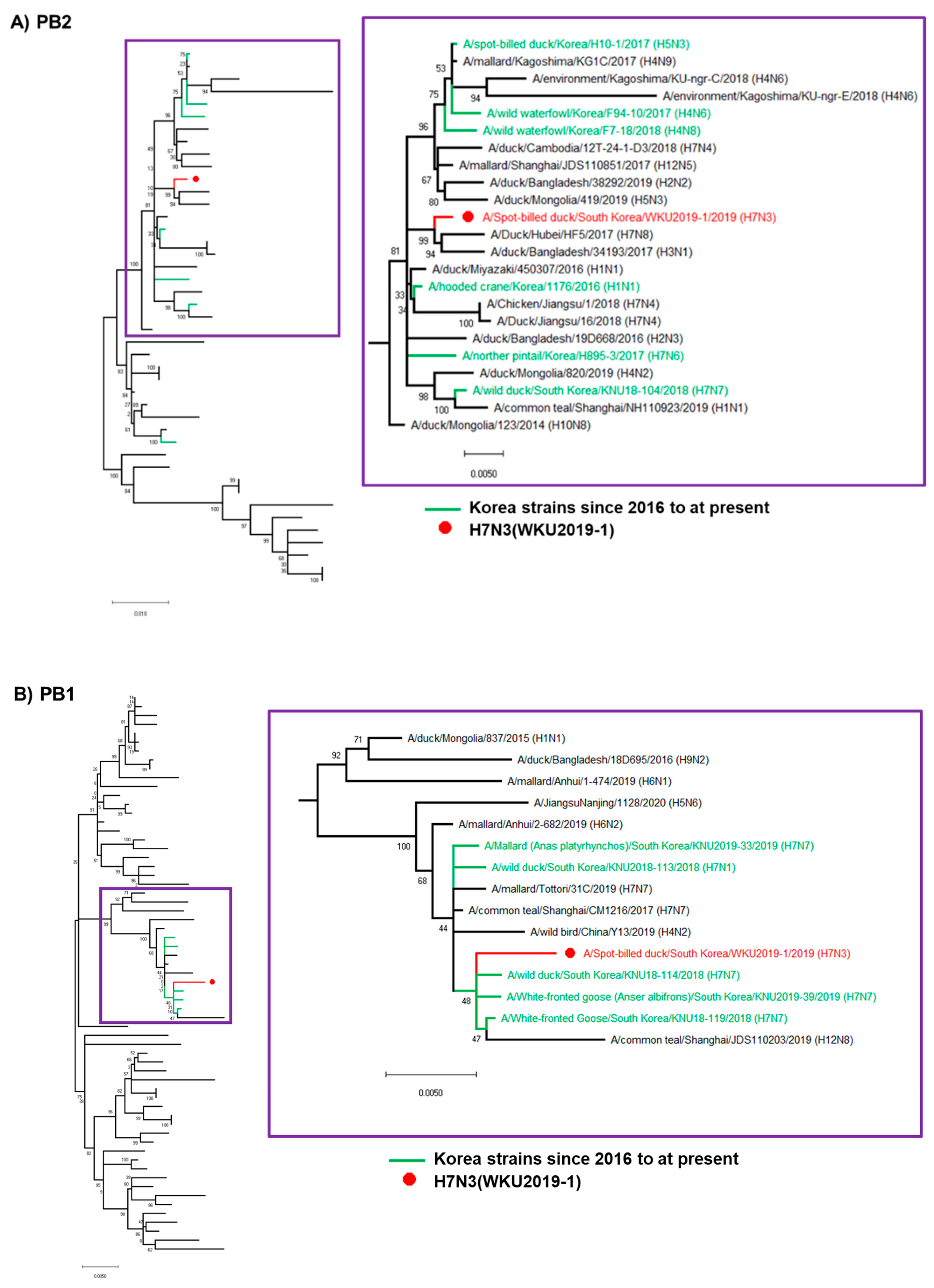 Viruses 13 00856 g001a