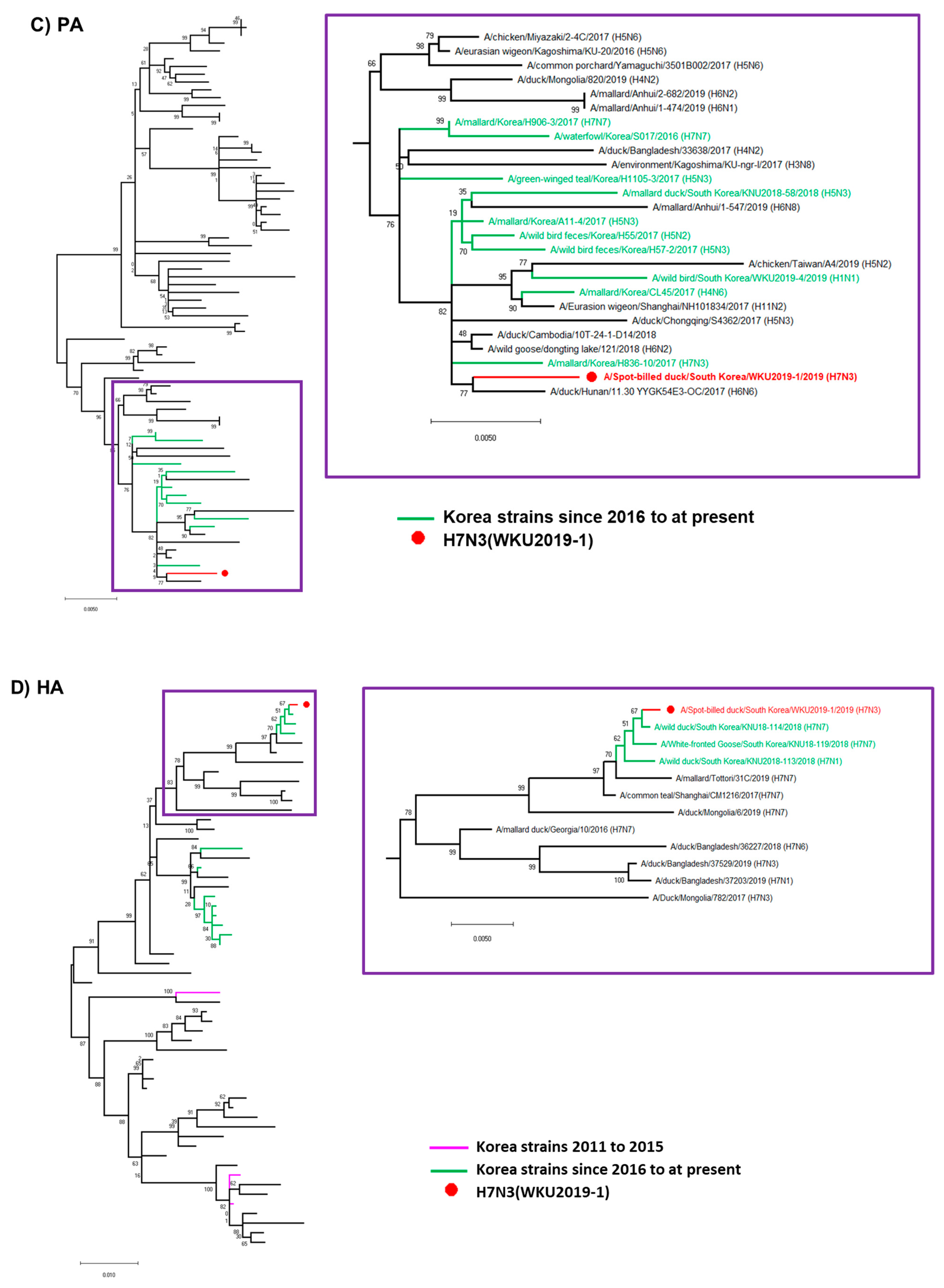 Viruses 13 00856 g001b