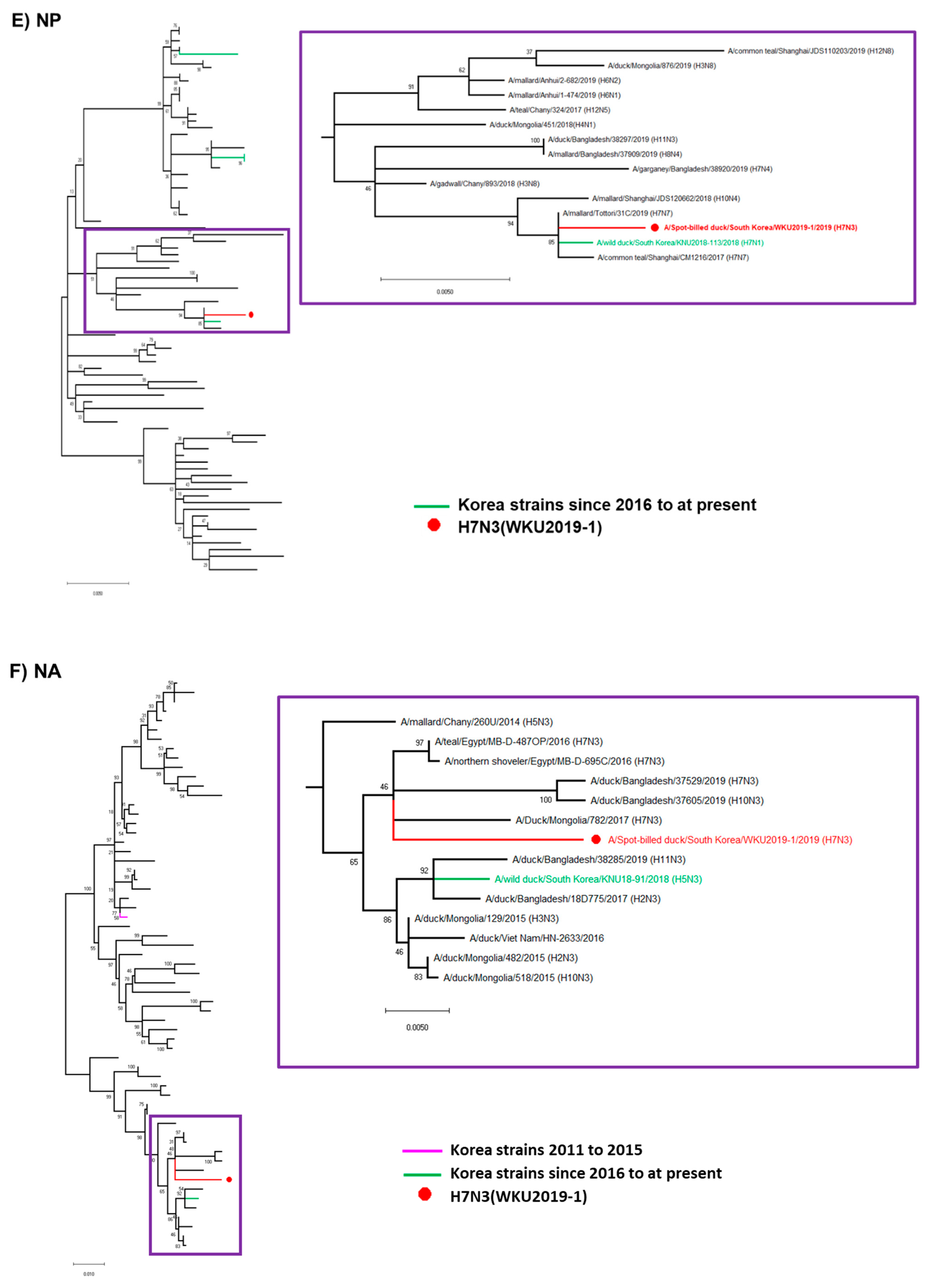 Viruses 13 00856 g001c