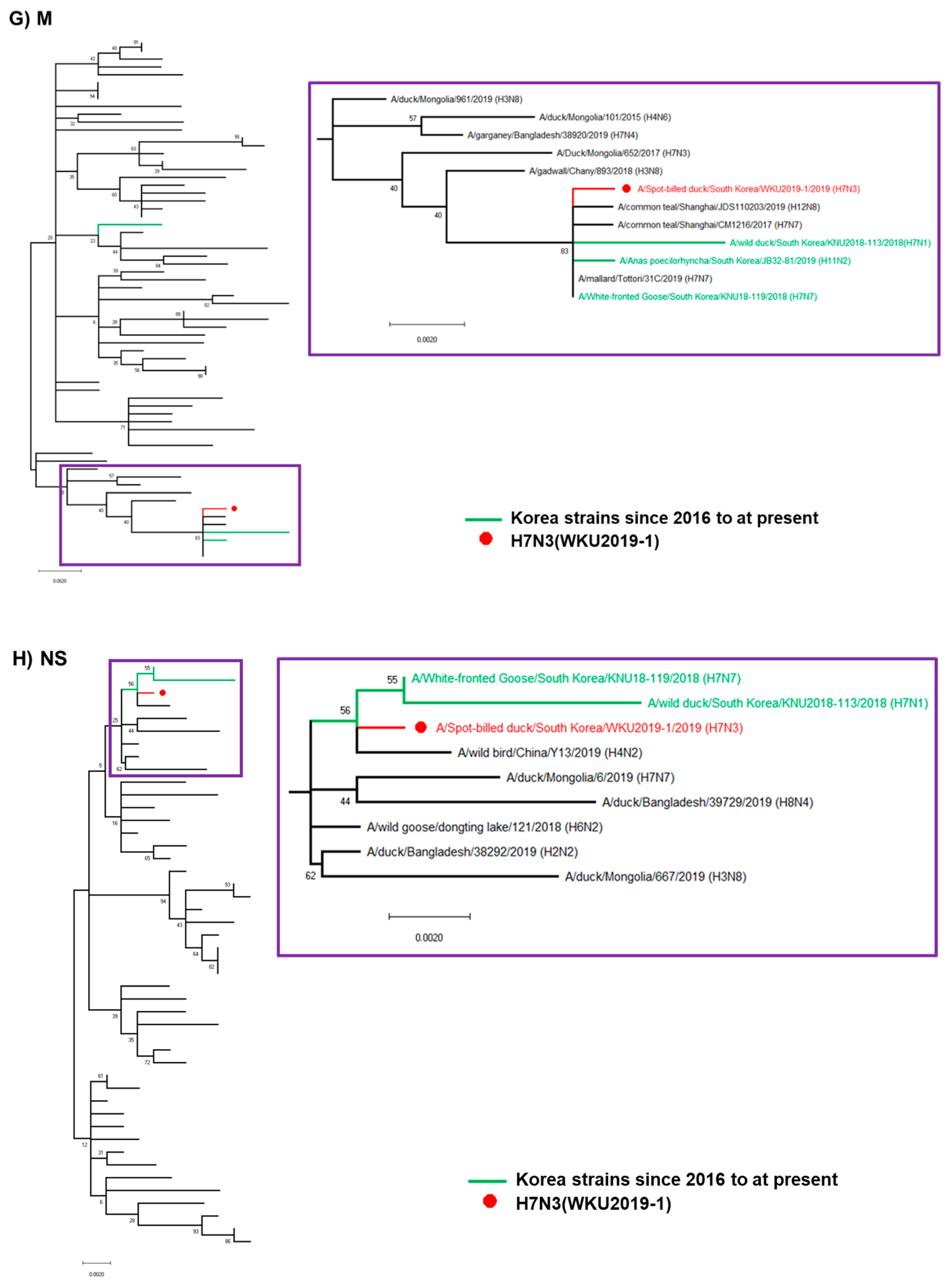 Viruses 13 00856 g001d