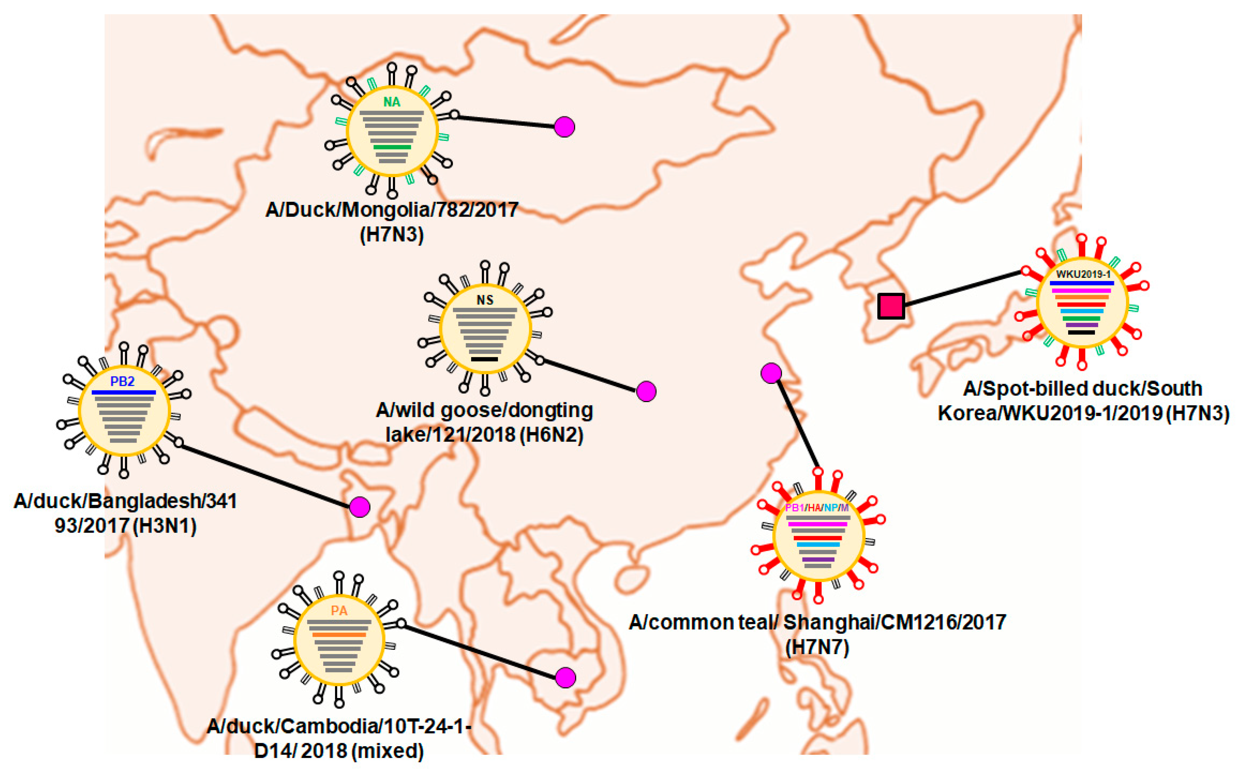 Viruses 13 00856 g002